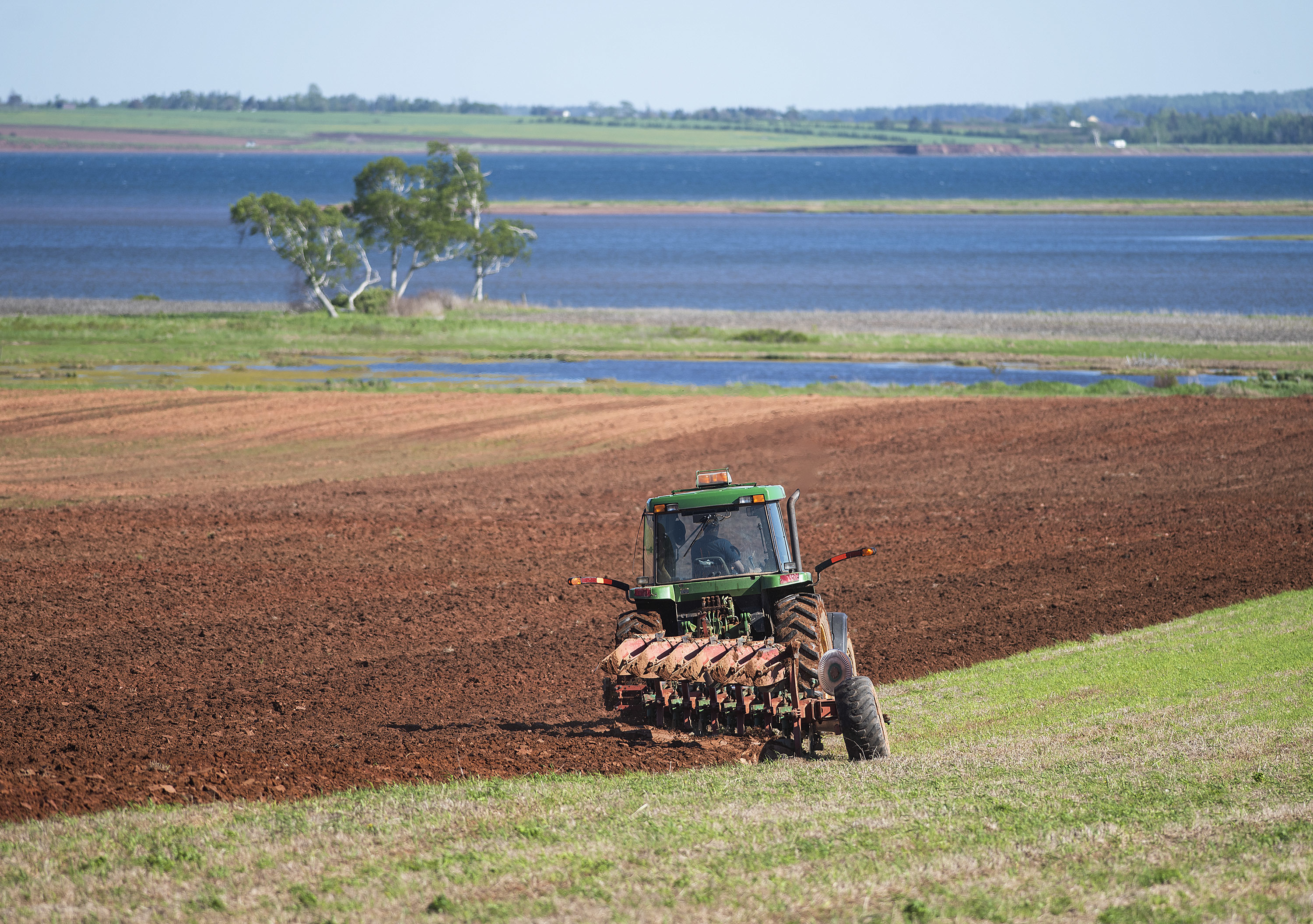 Farmers with huge machines and those with more modest equipment are hurrying to complete spring planting. When it is done they will have the time to hope and pray for a good harvest in the fall. (Brian McInnis)