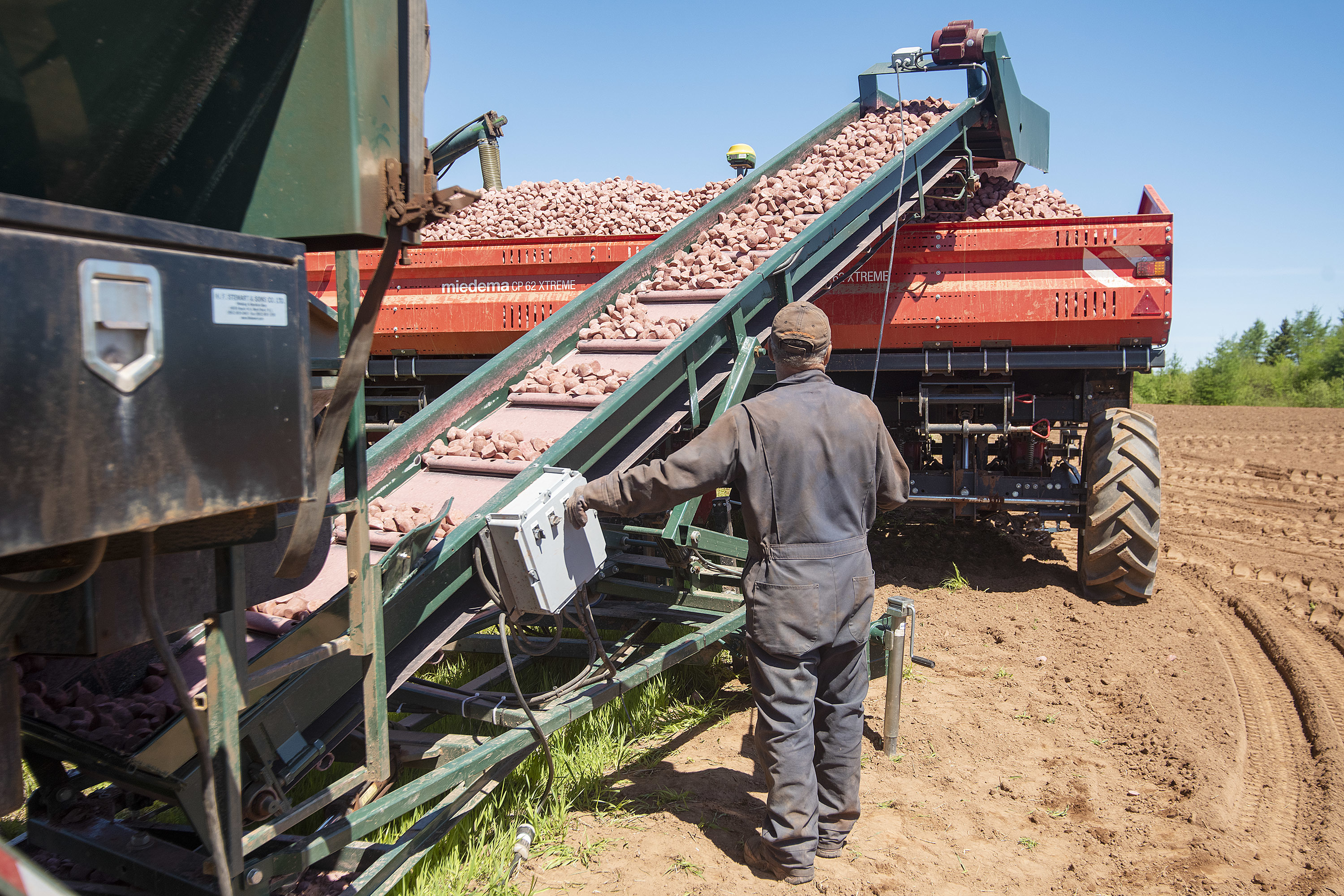 Ron Gallant, employee of Farm Boys Inc. in Arlington, P.E.I., loads seed potatoes into a planter as planting nears its end for the farm. (Brian McInnis)