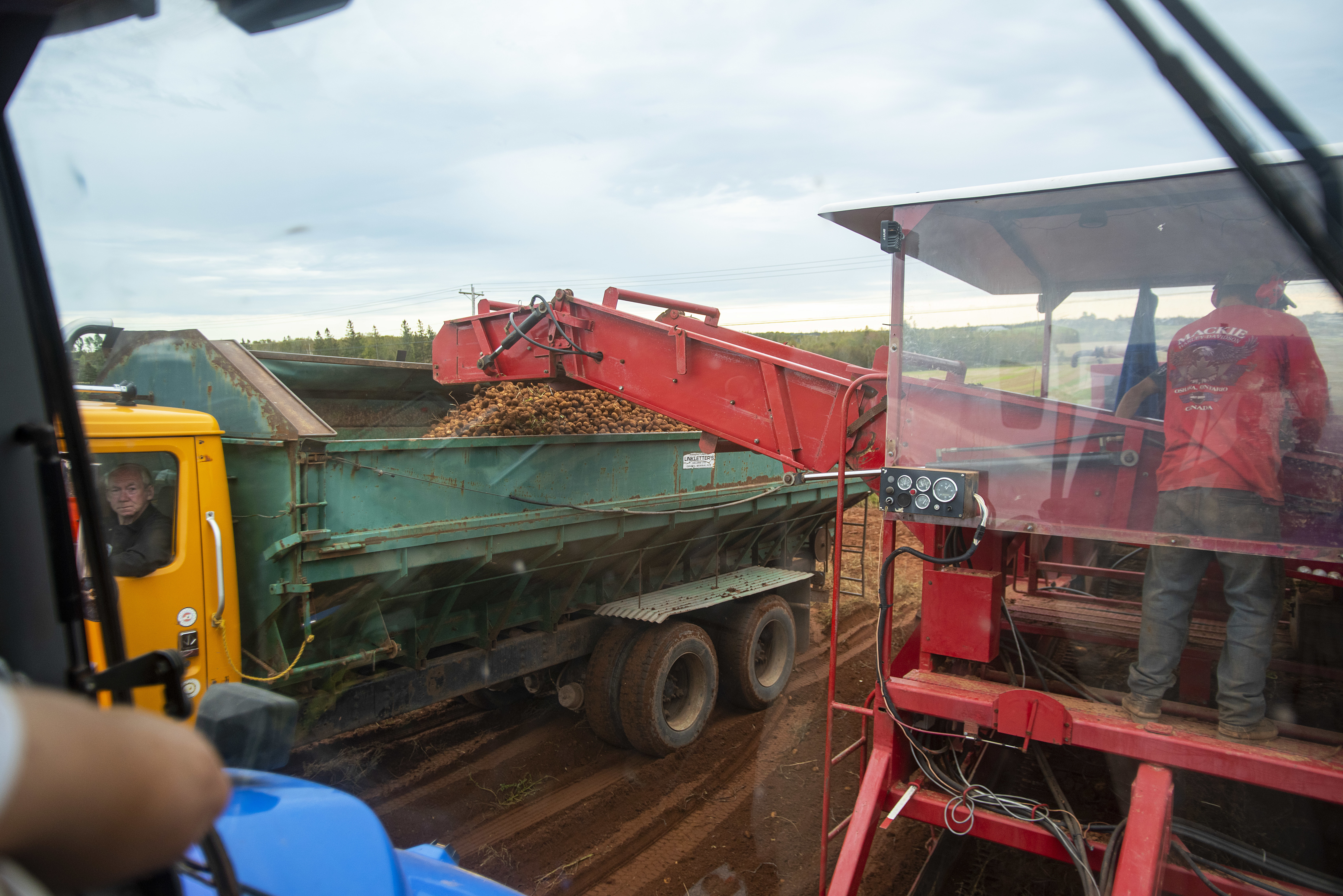 Mark Craig keeps a close eye on the action from the cab of his tractor as it, the truck and harvester make their way slowly along the rows of potatoes. (Brian McInnis/CBC)