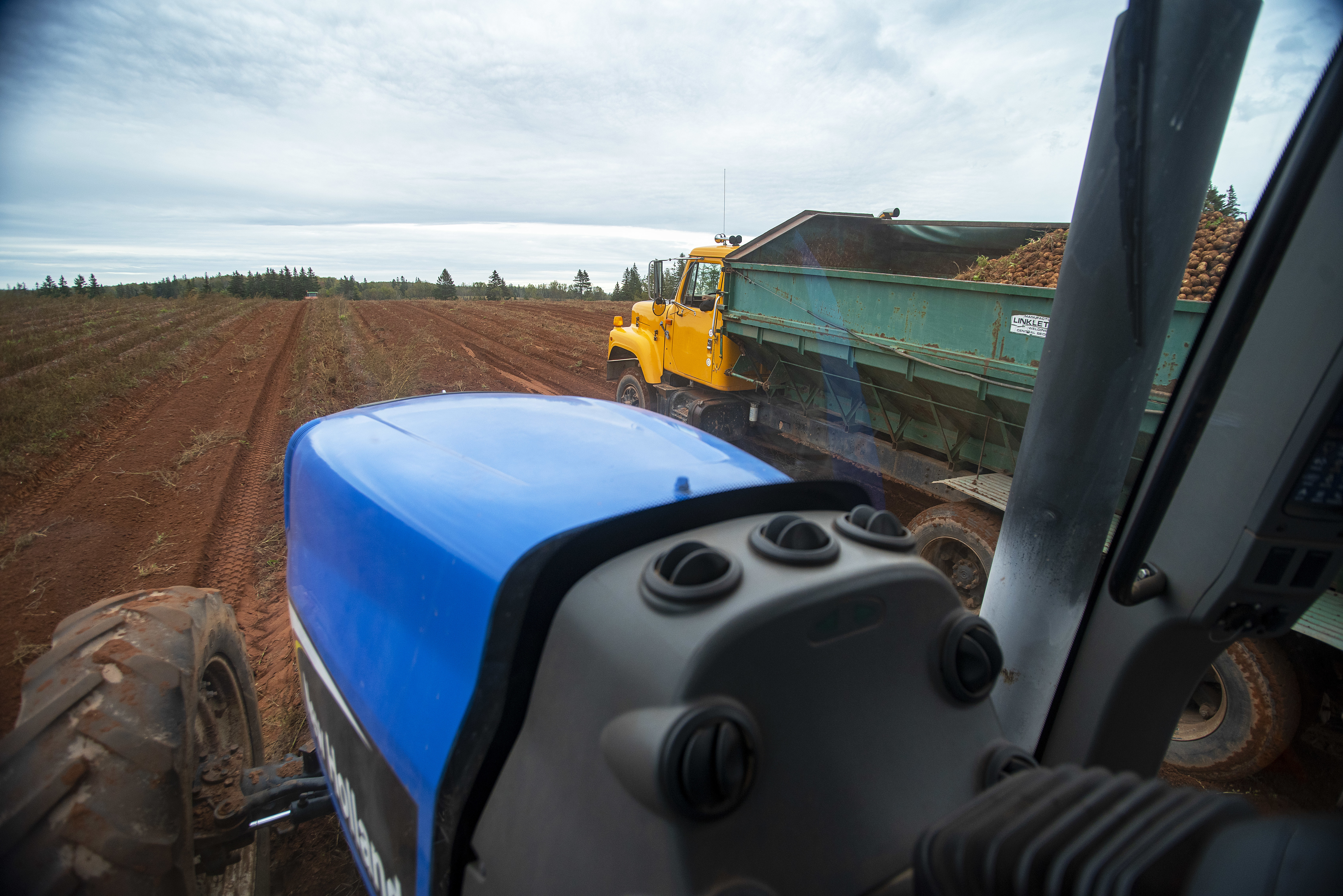 This was the view from inside the cab of the tractor driven by Mark Craig of Craig Potato in Tryon. The farm was certified organic in 2005. (Brian McInnis/CBC)