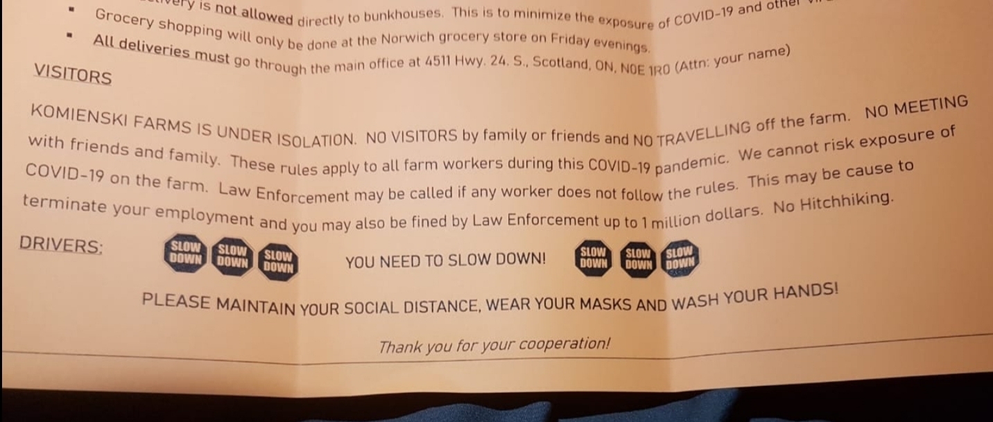 A worker at Komienski Fresh Produce told CBC he was unable to leave the farm this season except on supervised biweekly grocery trips. (Submitted by a Komienski Ltd. worker)