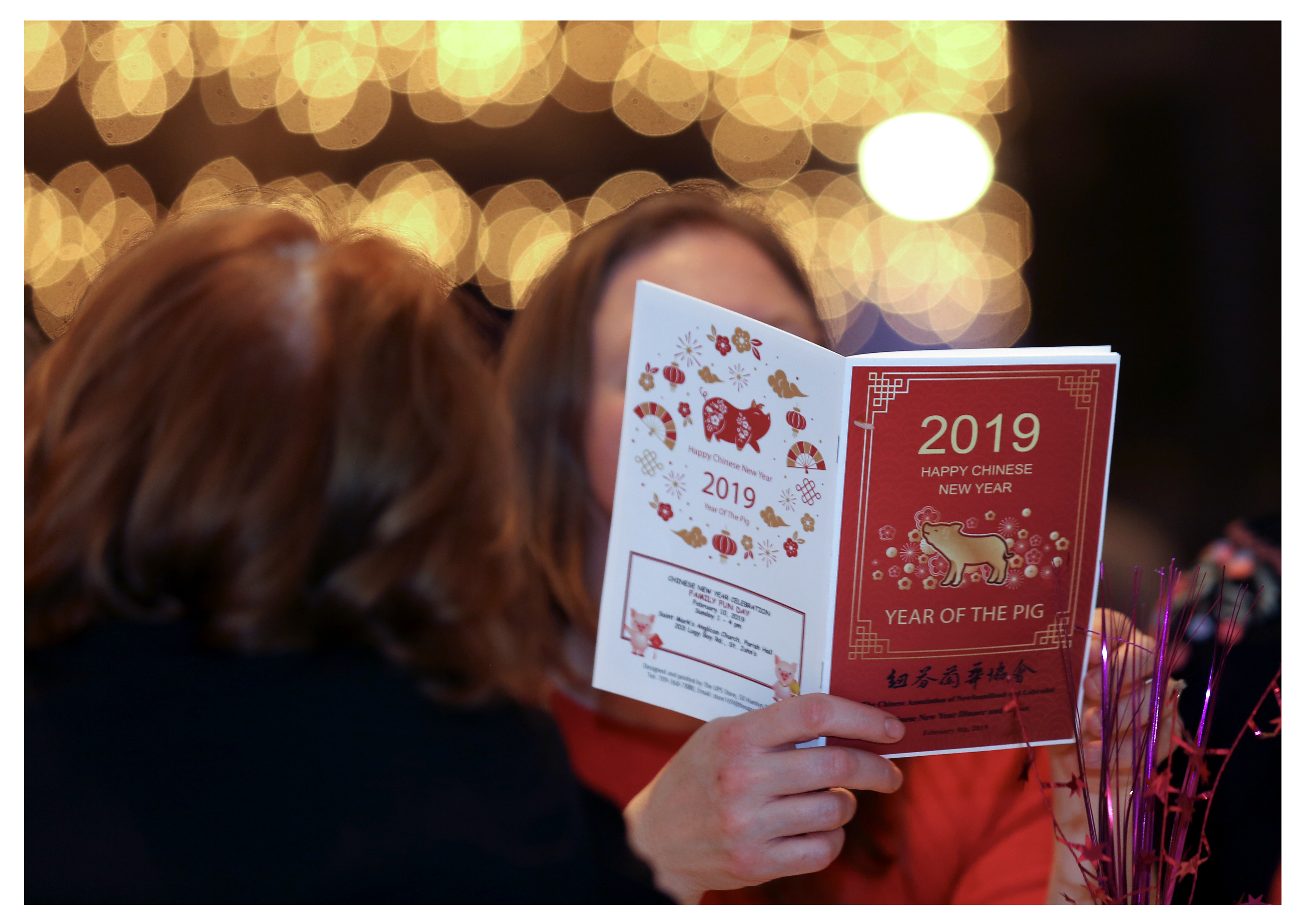 The Year of the Pig is now officially underway. Attendees celebrated Chinese New Year, which is also known around the world as Lunar New Year, Asian New Year and Spring Festival.  Other cultures mark the celebrations. 