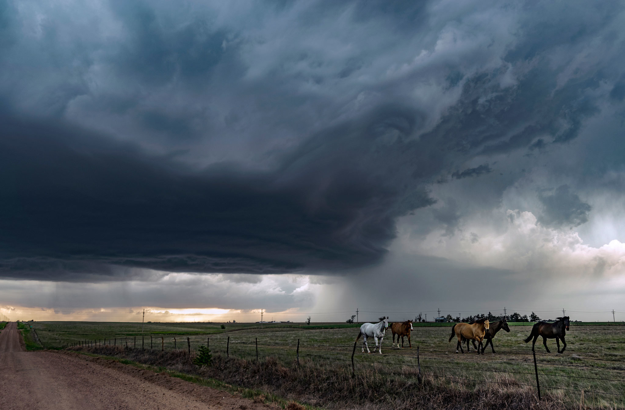 Horses trot away from a coming storm in Quinter, Kansas, in 2018. (Supplied by Kim Hines)