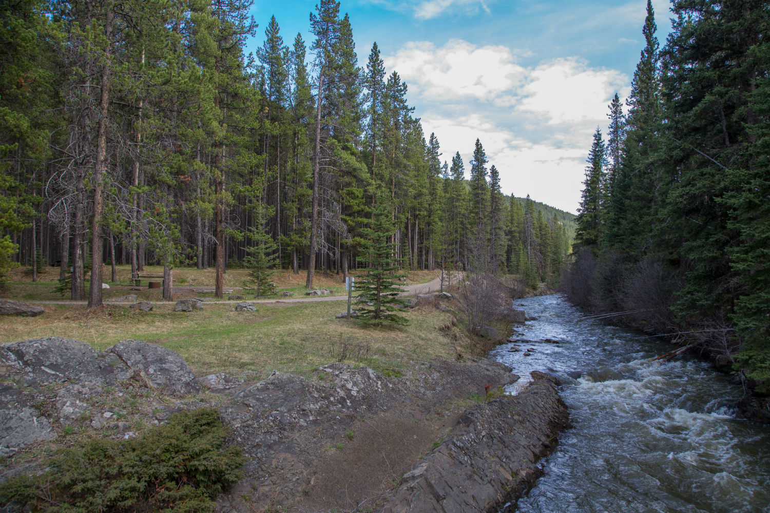 Racehorse Creek Provincial Recreation Area is home to 38 campsites operated by Alberta Parks. It is set to be delisted from the provincial parks system. (Robson Fletcher/CBC)