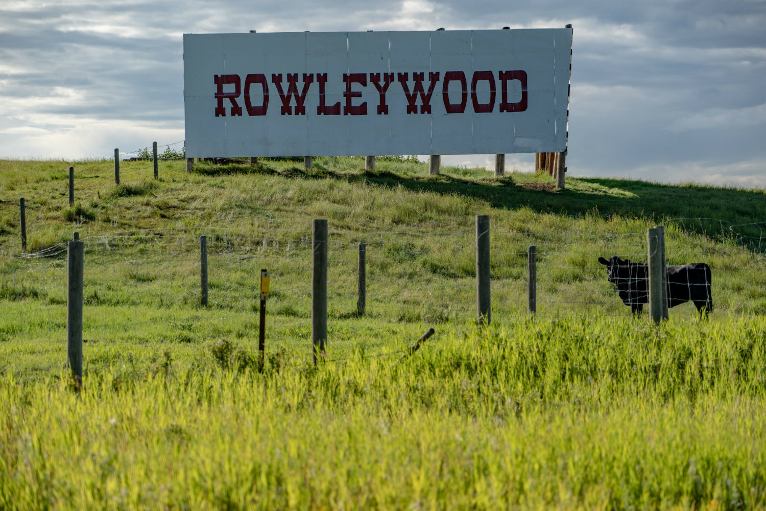 A 'Rowleywood' sign near Rowley, Alta., where Hollywood film productions have come to use the historic town as a movie set. (Vincent Bonnay/Radio-Canada)