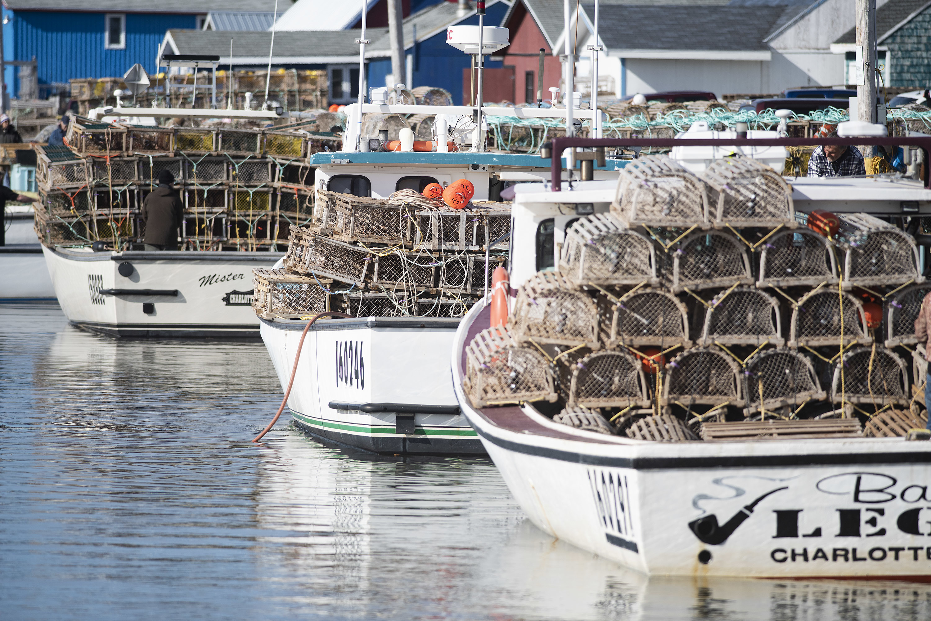 The wharf at North Rustico was jammed with boats and traps. (Brian McInnis)