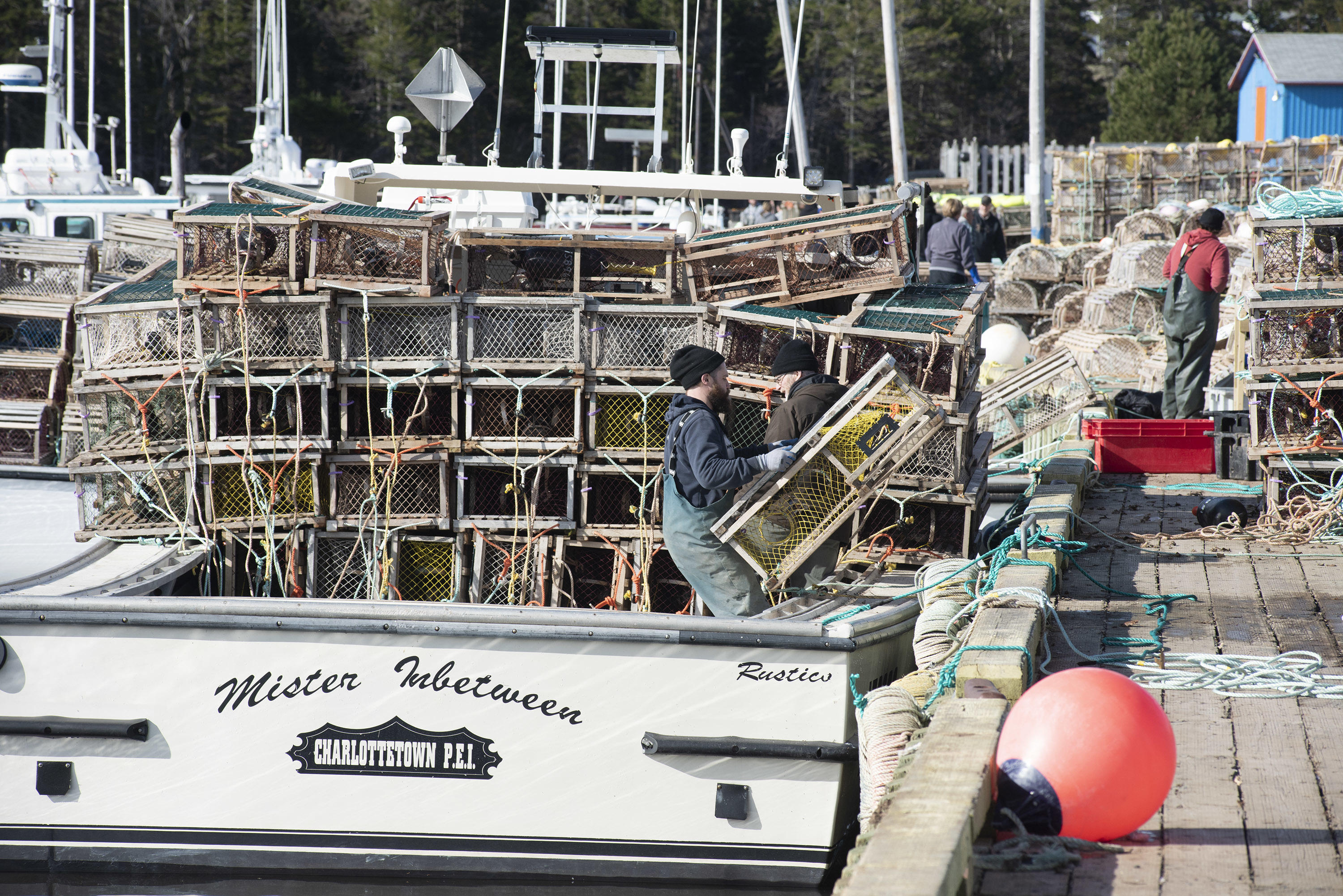 The wharf may look like it is in chaos, but looks are deceiving. The fishermen have been doing this for many years and there are rarely mistakes made. (Brian McInnis)