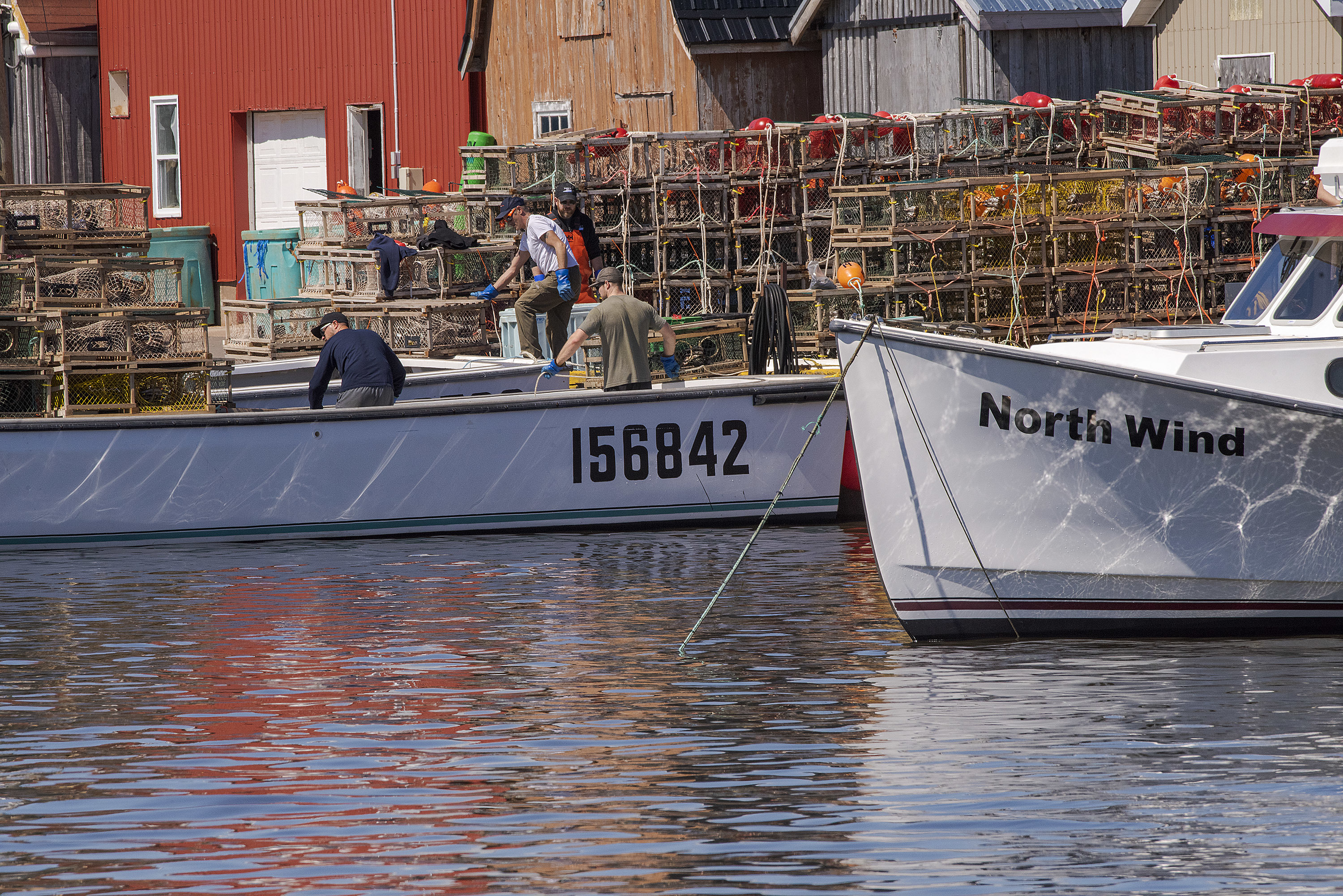 Loading and setting lobster traps is a labour intensive job. The traps have to be first put on the wharf in a specific way and then loaded onto the boat in a specific way. This is done to prevent the ropes and buoys from being tangled when being put in the water. (Brian McInnis/CBC)