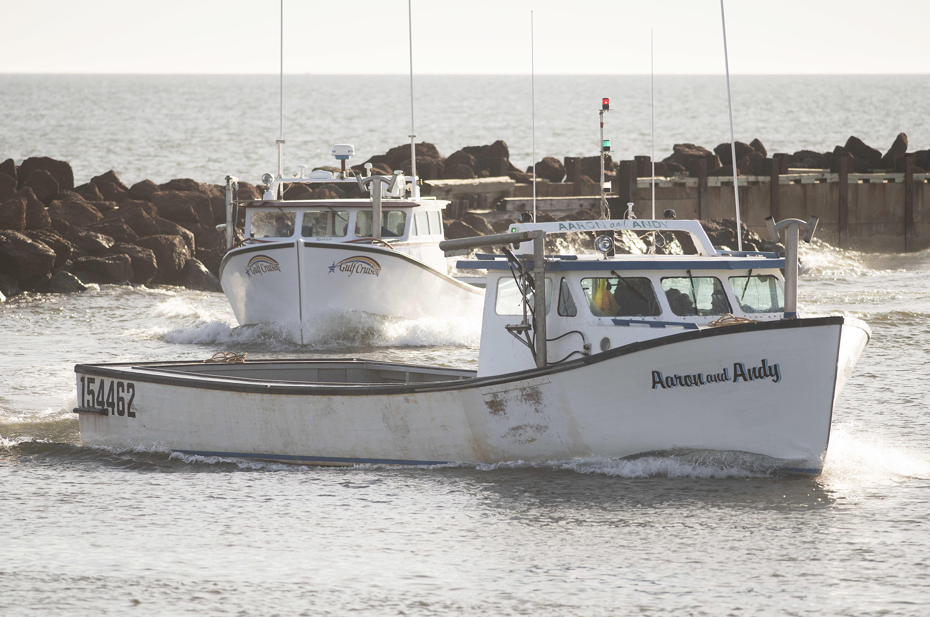 It may seem like they are racing, but these boats are heading for the North Rustico wharf to get their second load. (Brian McInnis)