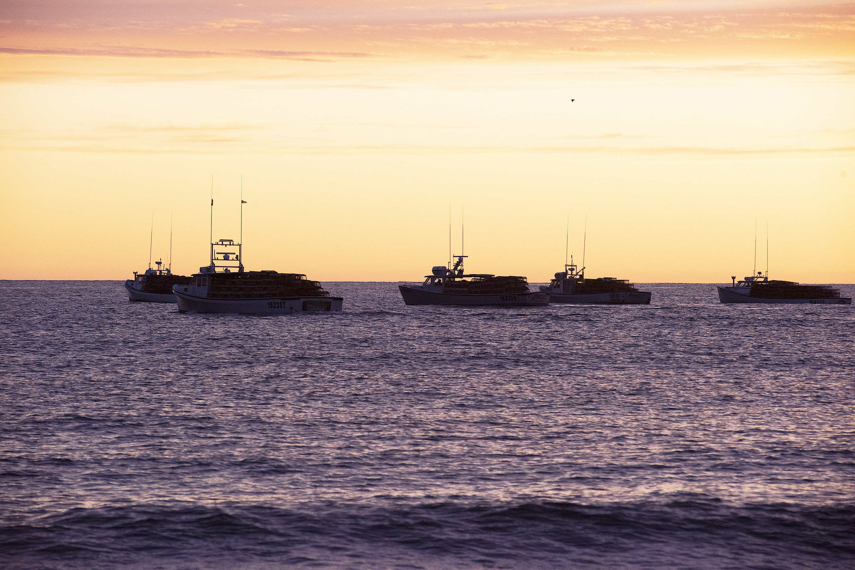 The captains await the radio signal that it is time to begin setting traps. Most captains have their favourite spots and head to them first. (Brian McInnis)