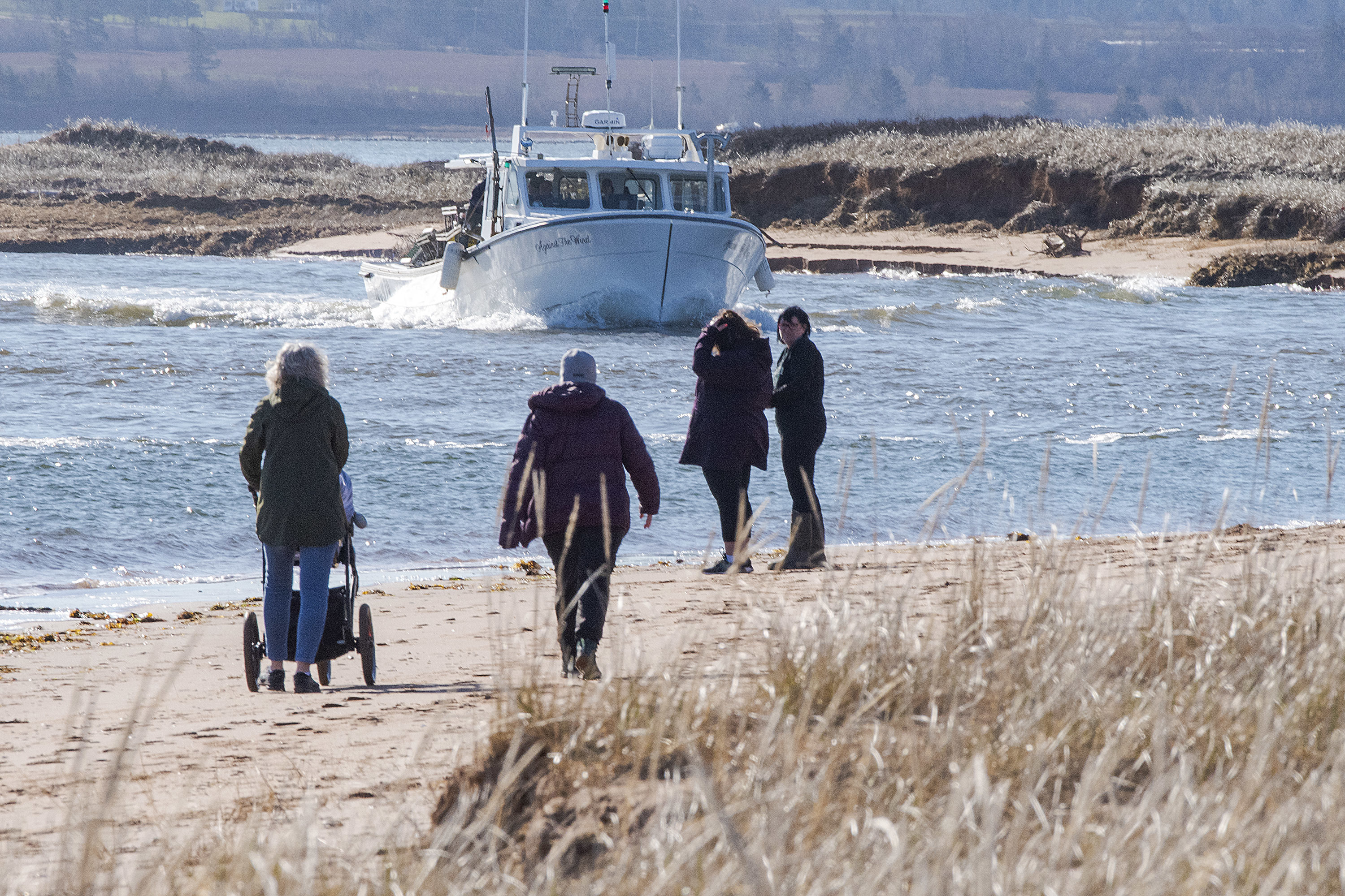 People walk along the shore at Malpeque Harbour to watch the annual parade of boats as they head out to the Gulf of St. Lawrence Tuesday. (Brian McInnis/CBC)