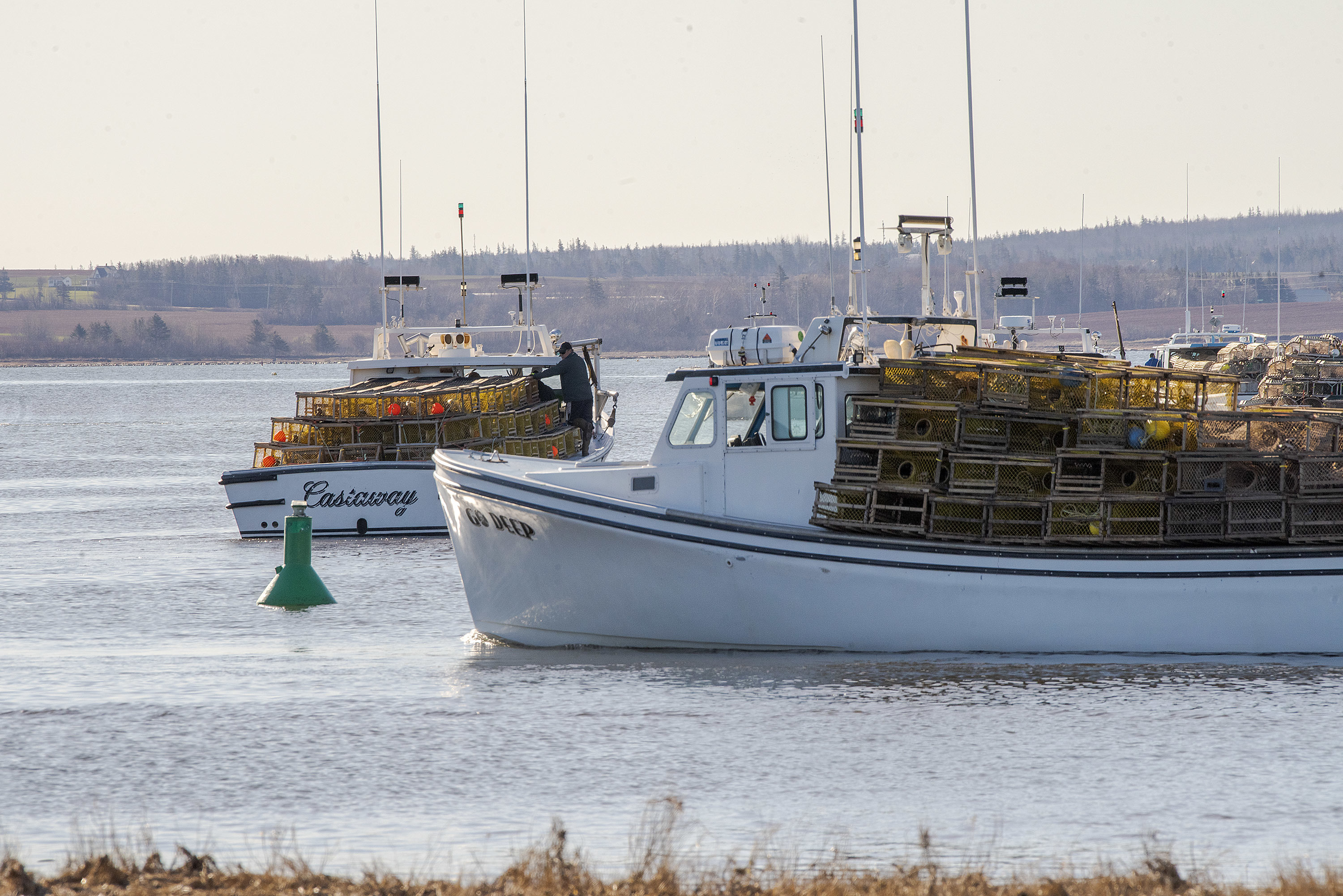 Boats leave the wharf at Malpeque Harbour and head out to the lobster grounds. (Brian McInnis/CBC)