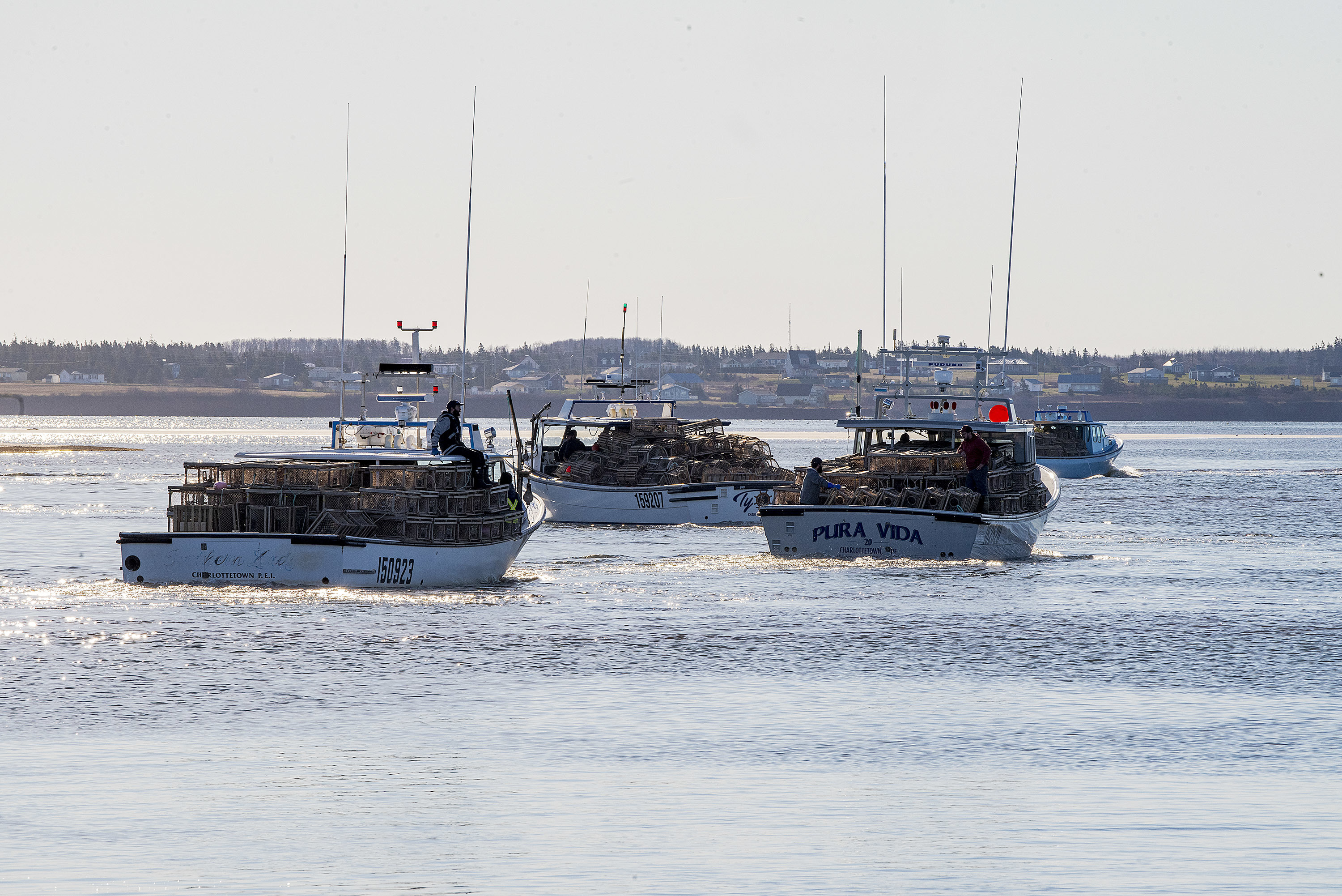 Boats play follow the leader as they head out of the harbour and then through the channel. (Brian McInnis/CBC)