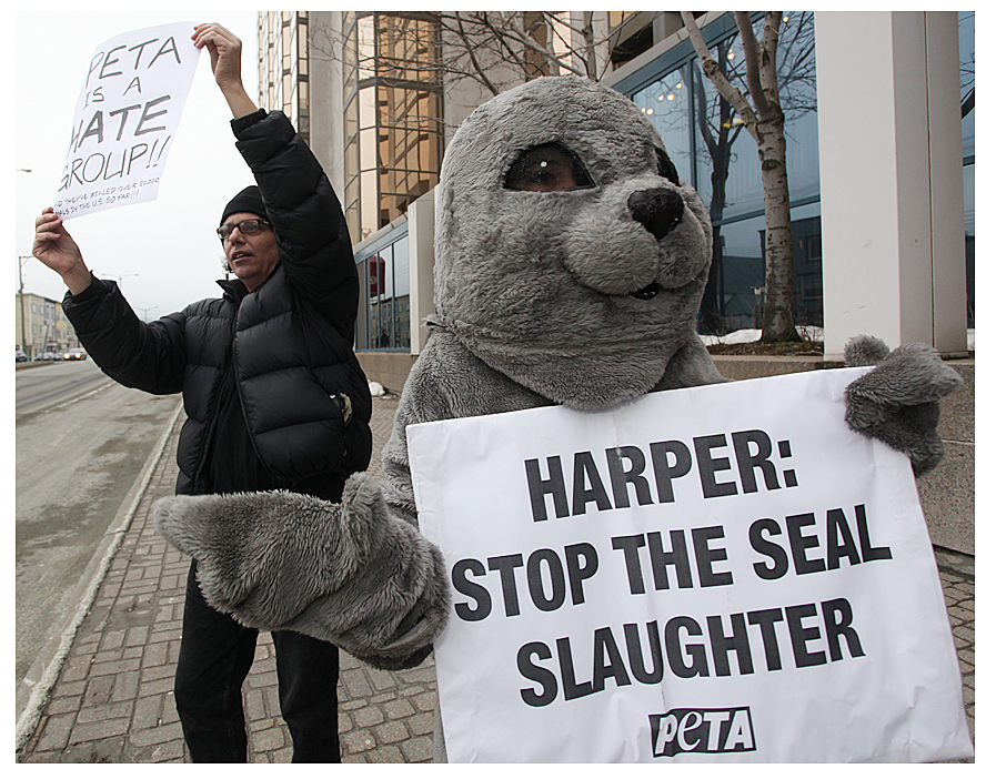 Contrasting points of view on the seal hunt, outside the Delta Hotel in downtown St. John's in January 2010. Stephen Harper, then the prime minister, was speaking inside. (Paul Daly)