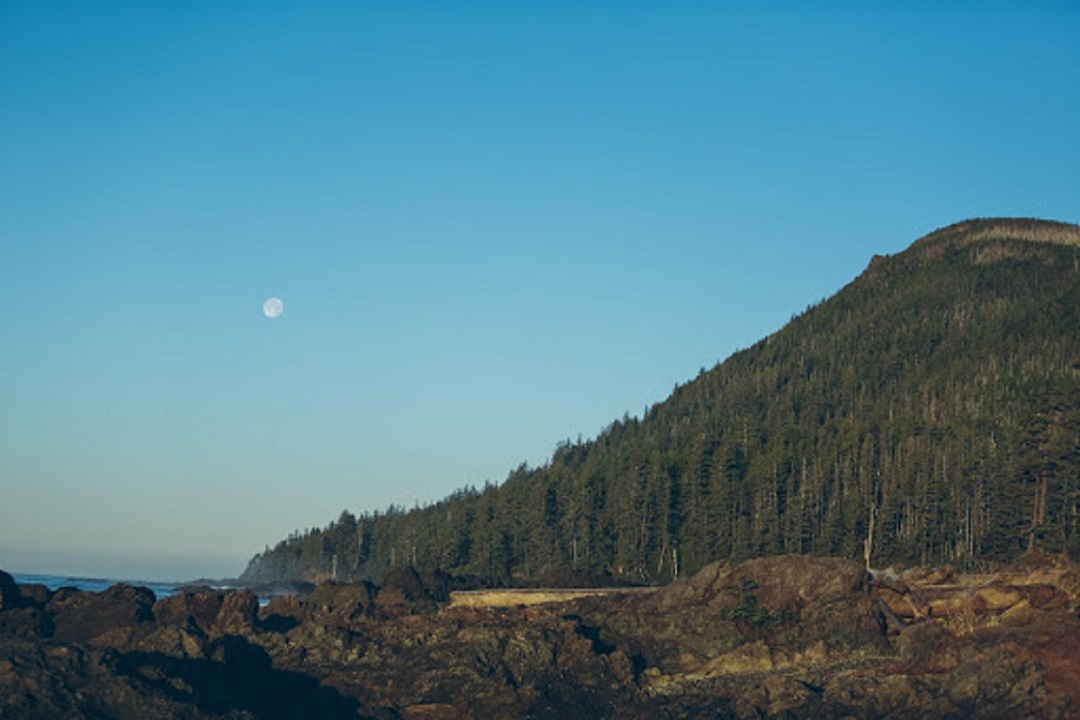 Our coastline invites endless opportunities for solitude. Greg uses our unbounded environment for continuous discovery and introspection. (Submitted by Stuart Gillies)