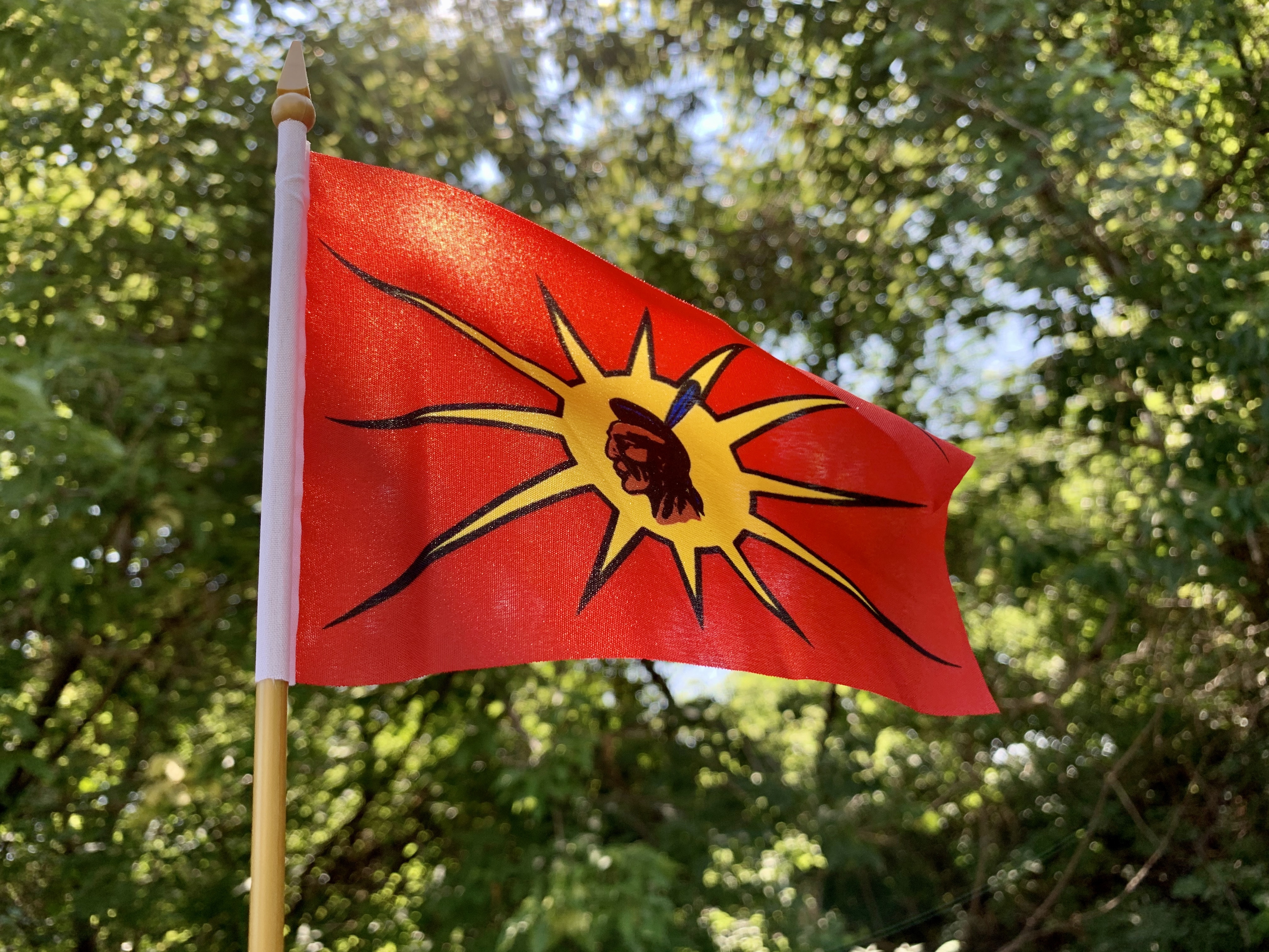 The warrior flag, also known as the unity flag, was created by Kanien'kehà:ka (Mohawk) artist Karoniaktajeh Louis Hall. (Jessica Deer/CBC)