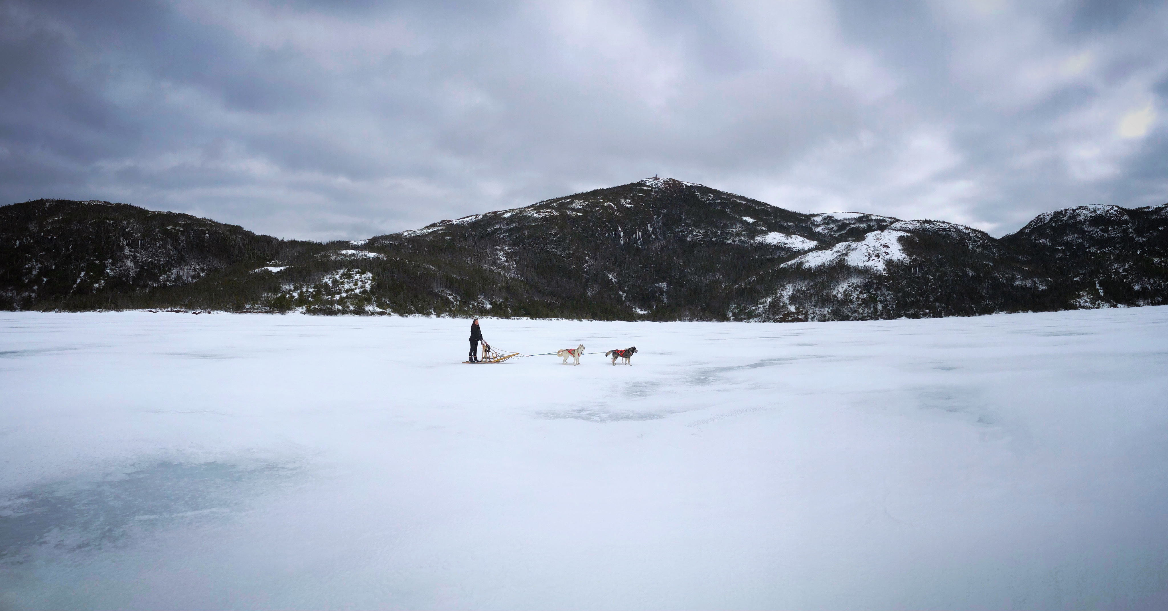 Angie Watson and the dogs on a frozen pond in the shadow of Western Head, near Hermitage-Sandyville. (Gavin Simms/CBC)