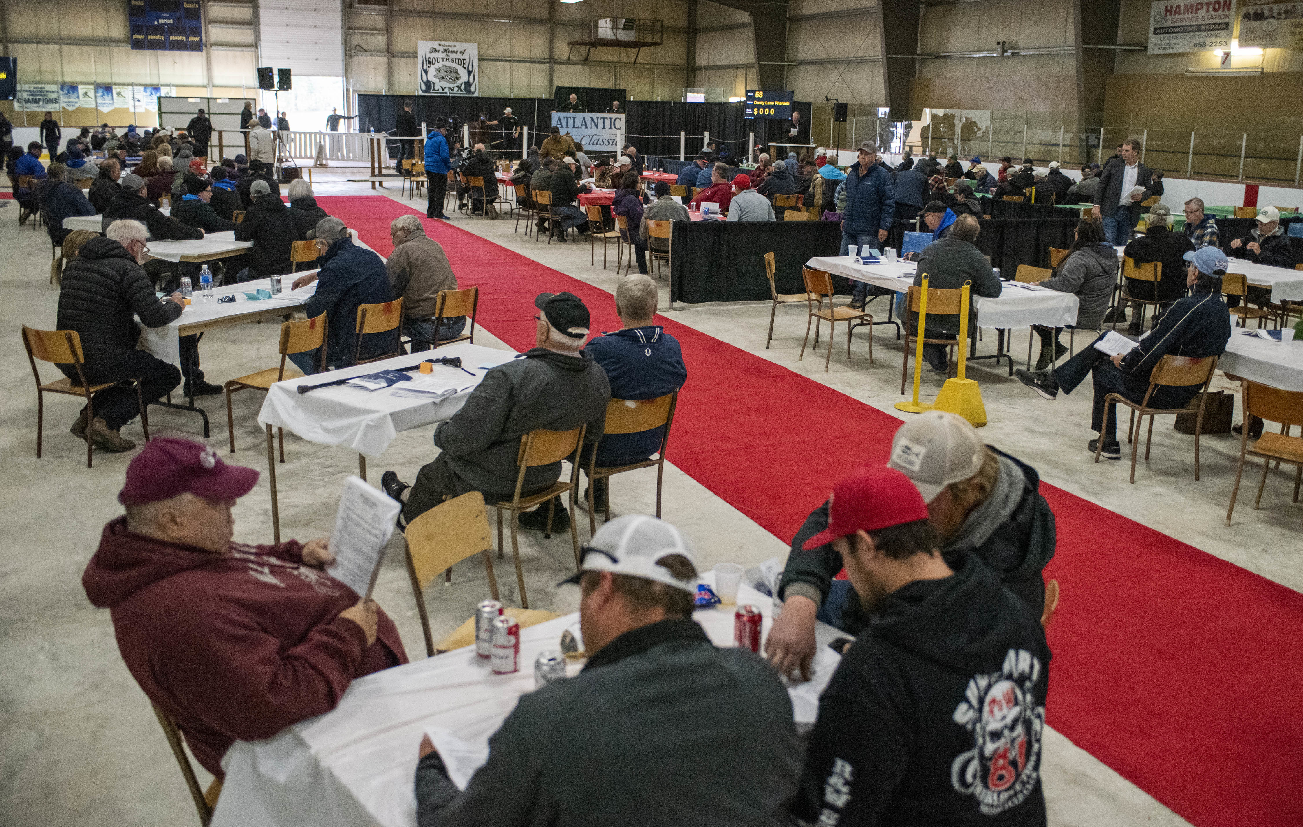 Many of the spectators have their heads buried in the programs as they try to determine which horse they are interested in buying, much like studying a racing program at the track. (Brian McInnis/CBC)