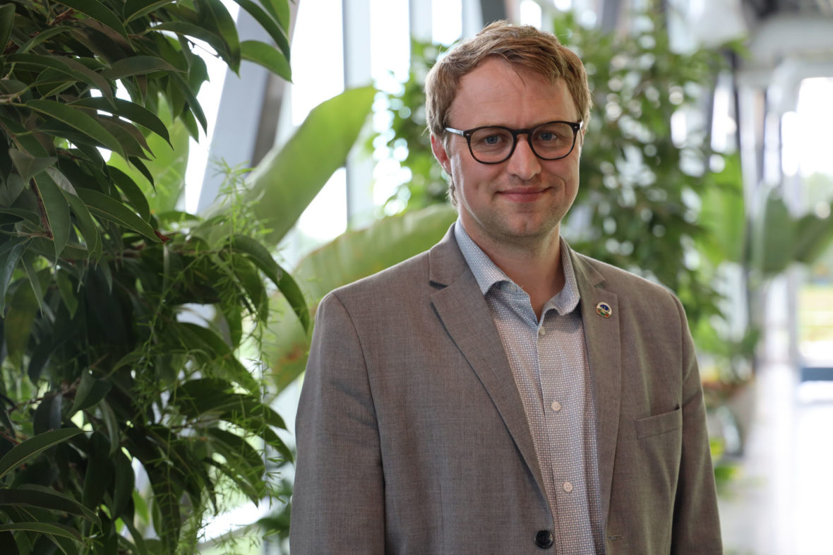 Pipe dreams Drayton Valley (cautiously) hopes for the best CBC News