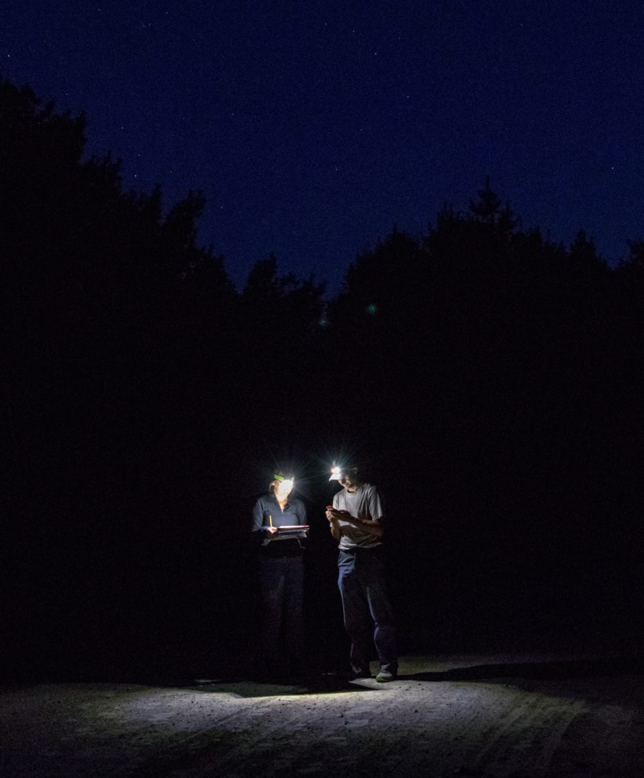 Two biologists with headlamps compare notes in the dark.