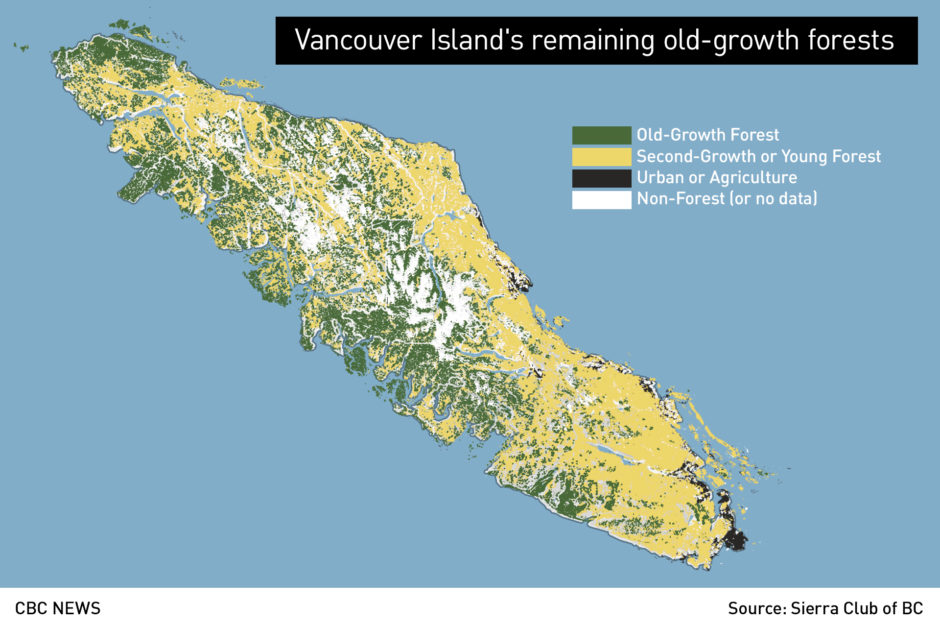 Money trees CBC News