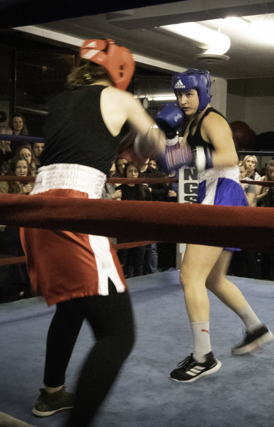 Iva Jankovic faces her opponent in a boxing ring while people watch