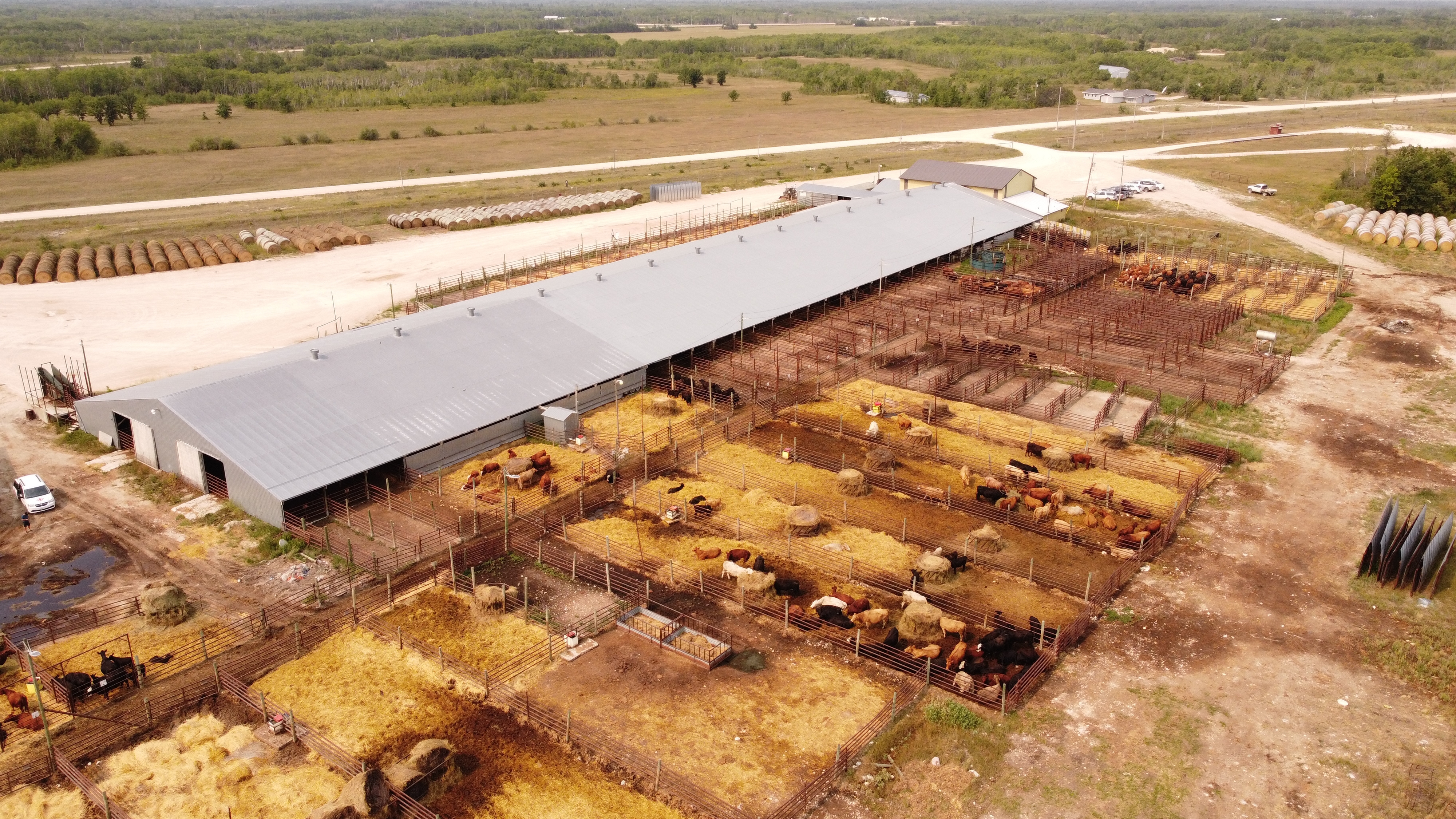 An aerial view shows the dry fields surrounding the Ashern Auction Mart. 'It’s not sustainable right now,' Kiesman says. 'There’s only so long you can go bleeding red before you have to decide what you’re going to do.' (Jaison Empson/CBC)