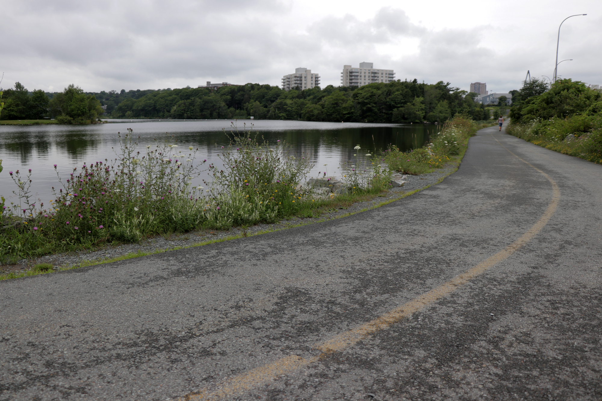 A view of Lake Banook, which Brenda Way walked past shortly before she was killed. (Robert Guertin/CBC)