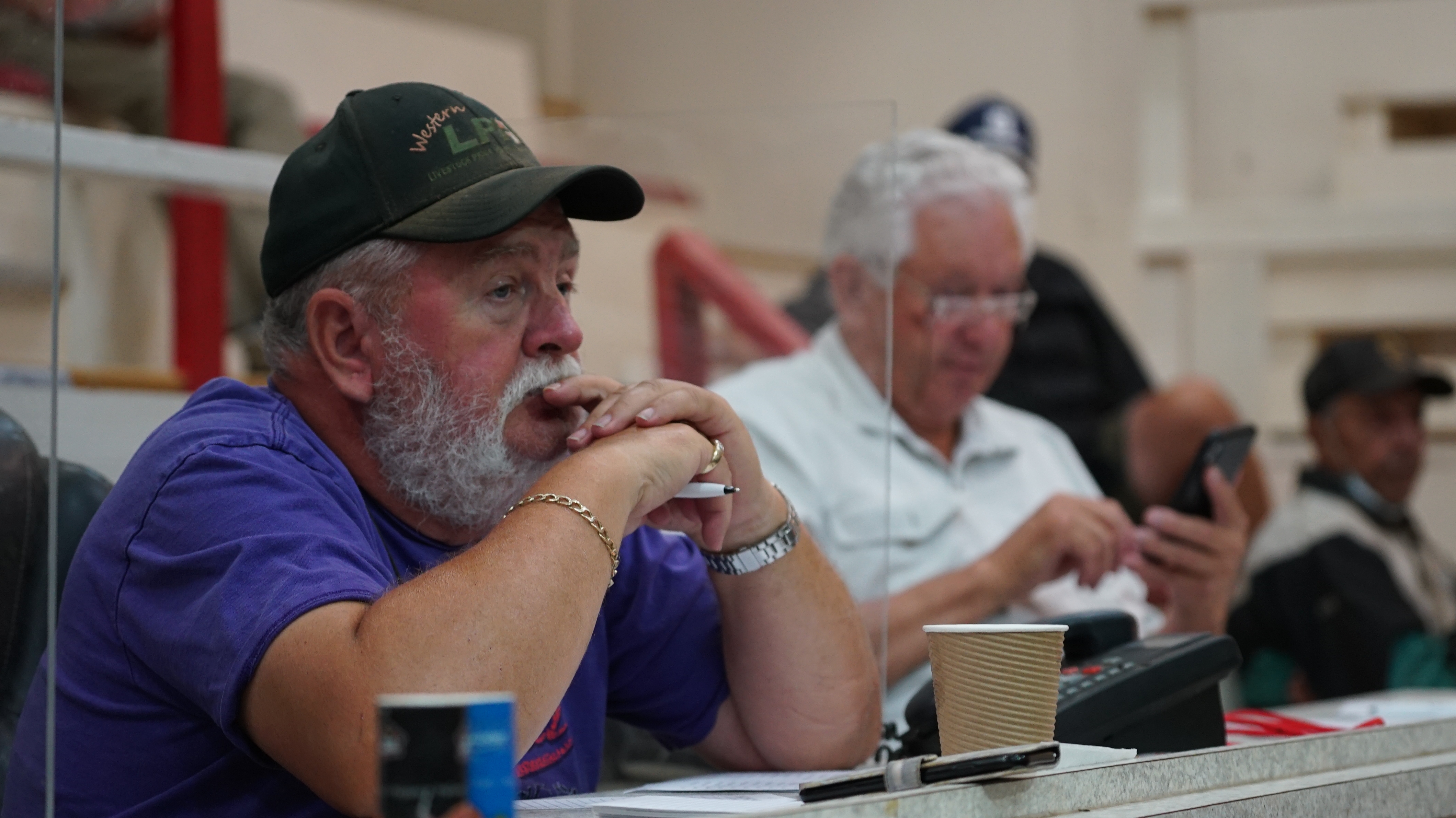 A cattle auction at the Ashern Auction Mart on Aug. 18 was the third emergency drought auction held there since July. (Jaison Empson/CBC)