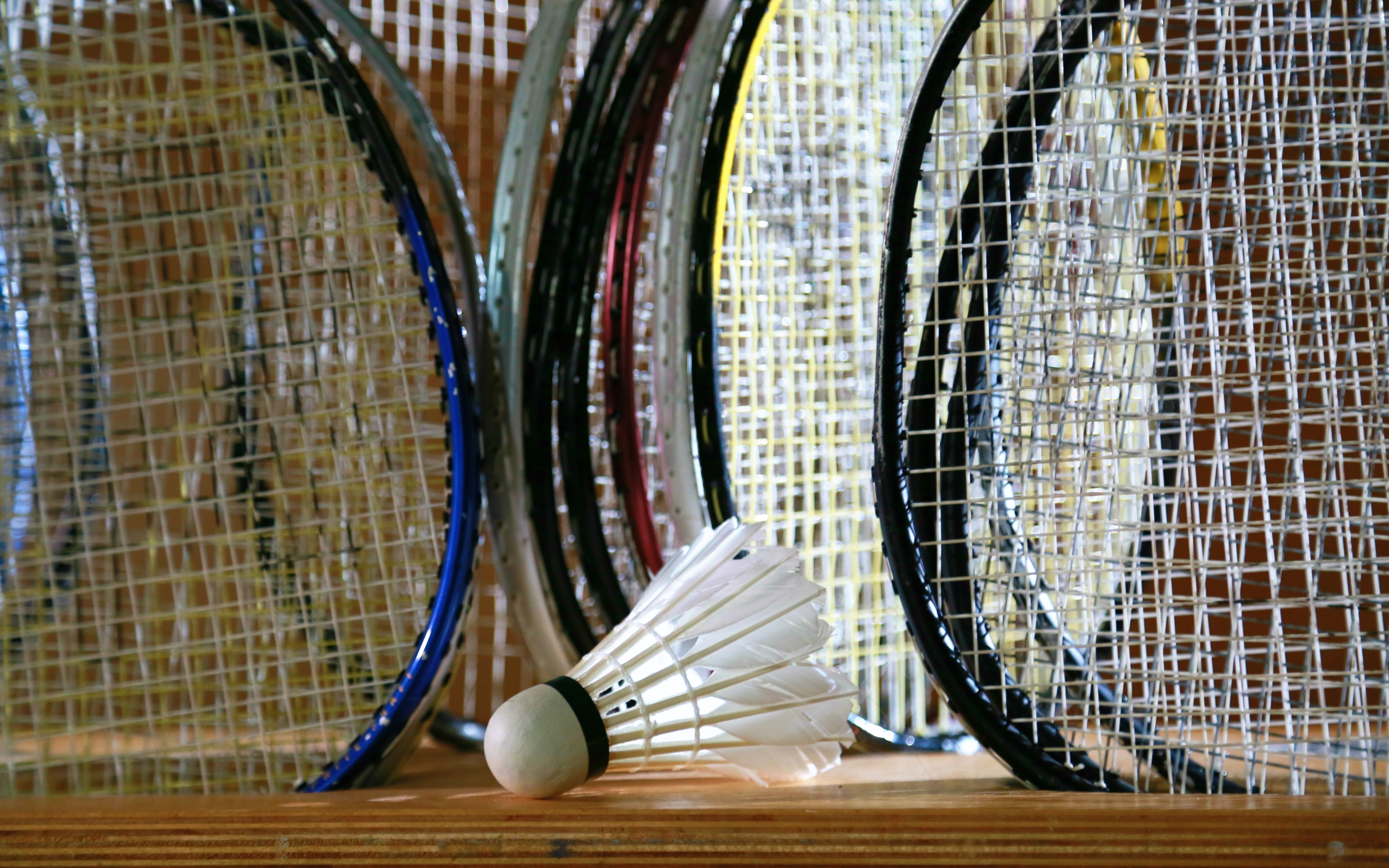 To play badminton, the second-most-played sport in the world according to Jerry Zhang, you need a racket and birdies, also known as shuttlecocks. The game is usually played in singles or doubles, with players hitting a birdie back and forth across a net. (María José Burgos/CBC)