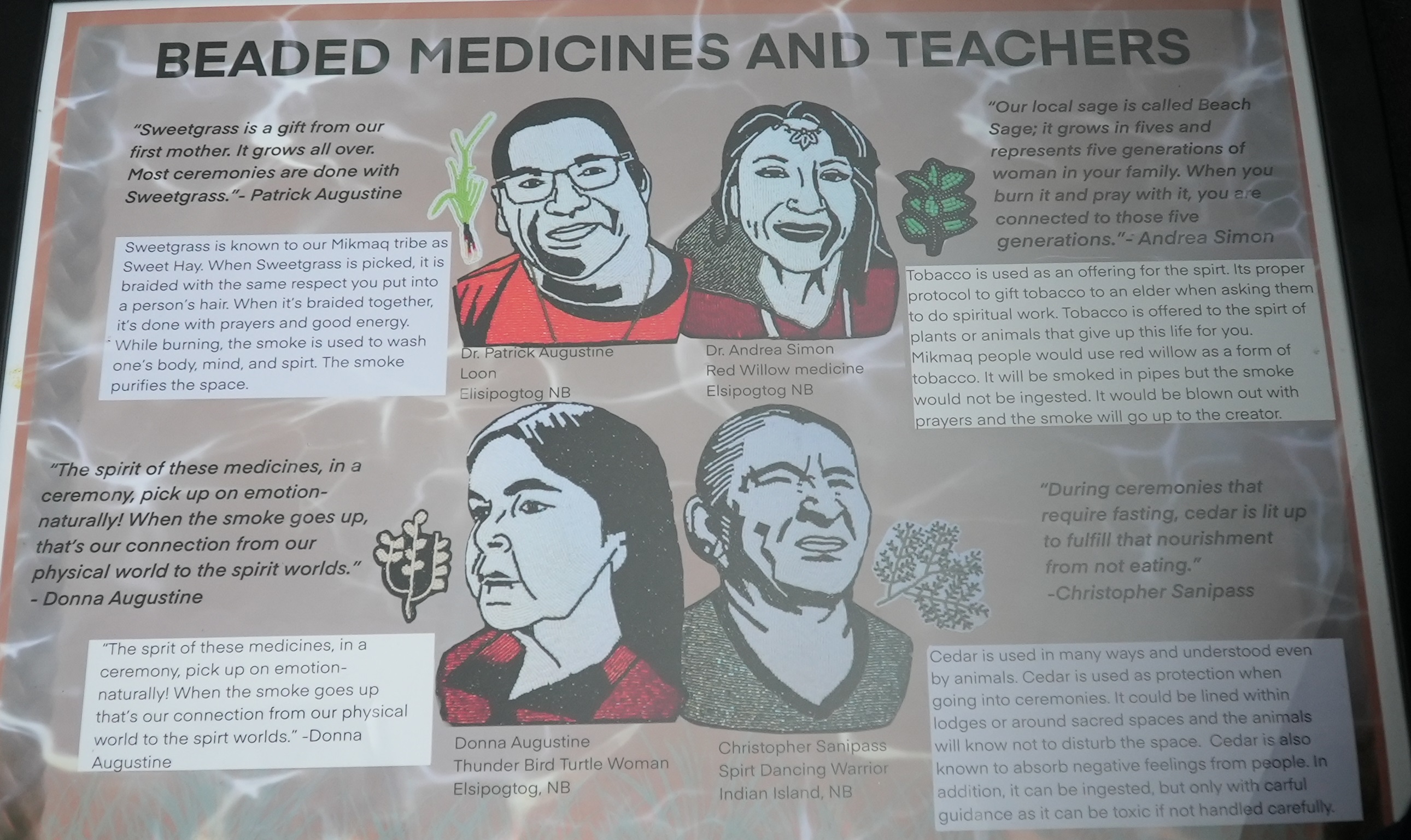 An information poster Ashley Sanipass had printed. It includes the four elders and medicines and quotes from the elders. (Oscar Baker III/CBC)