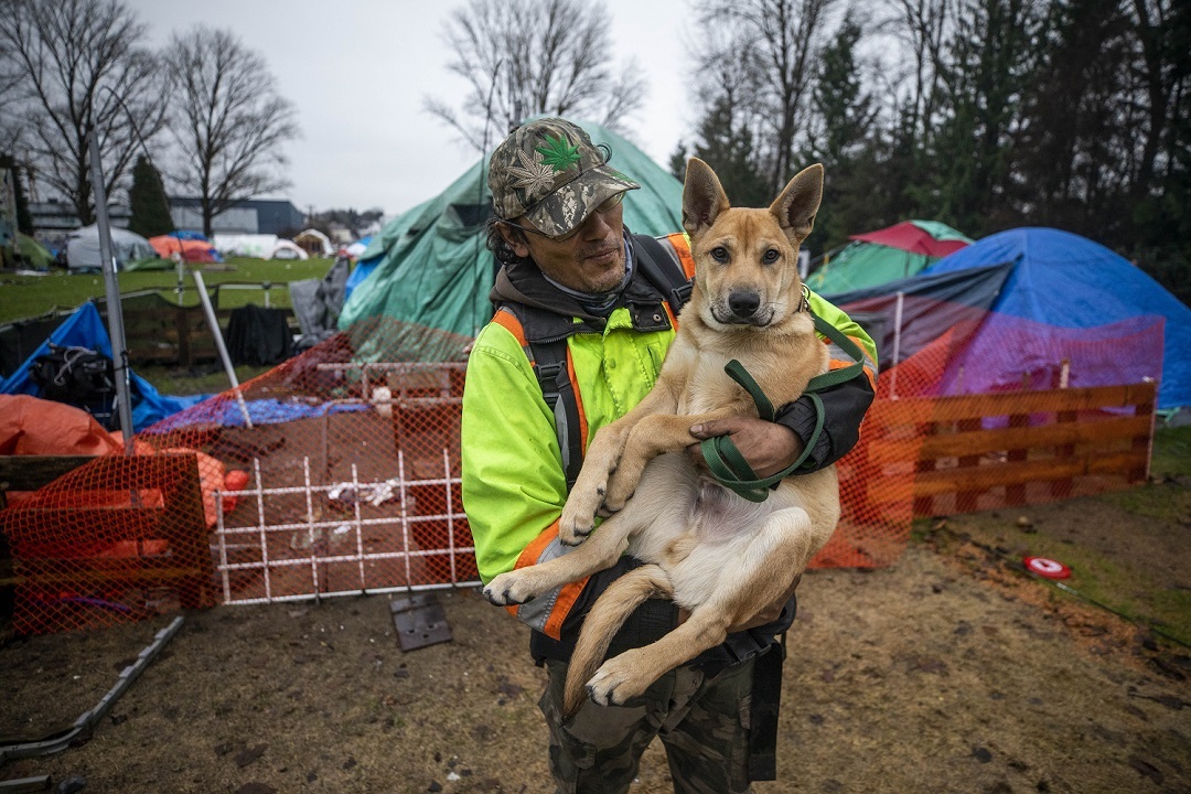 An unidentified camper and his canine friend stand in front of the metal fence put in by B.C. Housing to separate the campers from the rest of the park. (Ben Nelms)