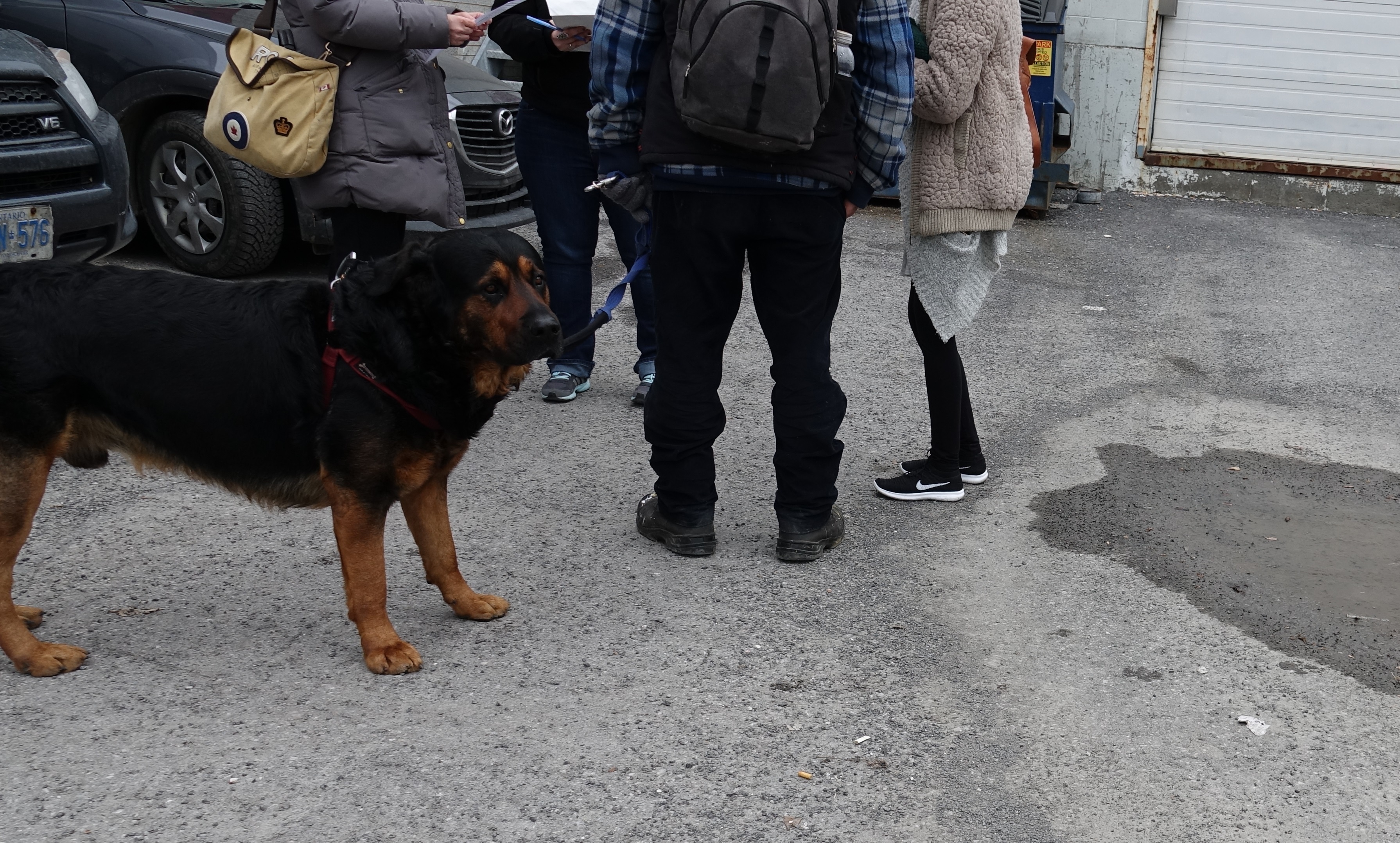 Salvation Army outreach workers help a homeless couple to track down dog food for their hungry pup.