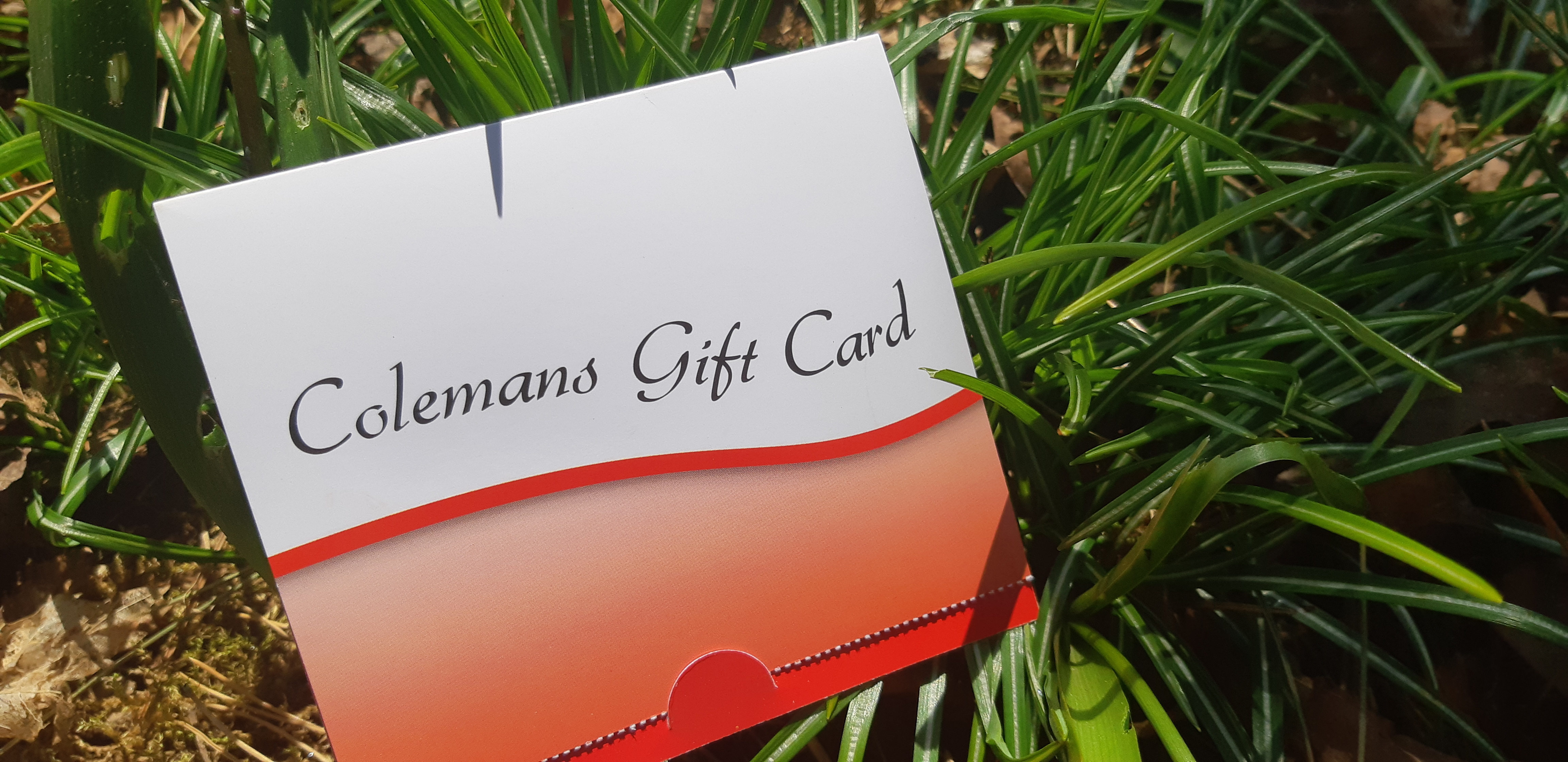 Individual gift cards for Colemans supermarkets allow recipients to make their own choices about what they need. (Submitted by Krista Brodeur)