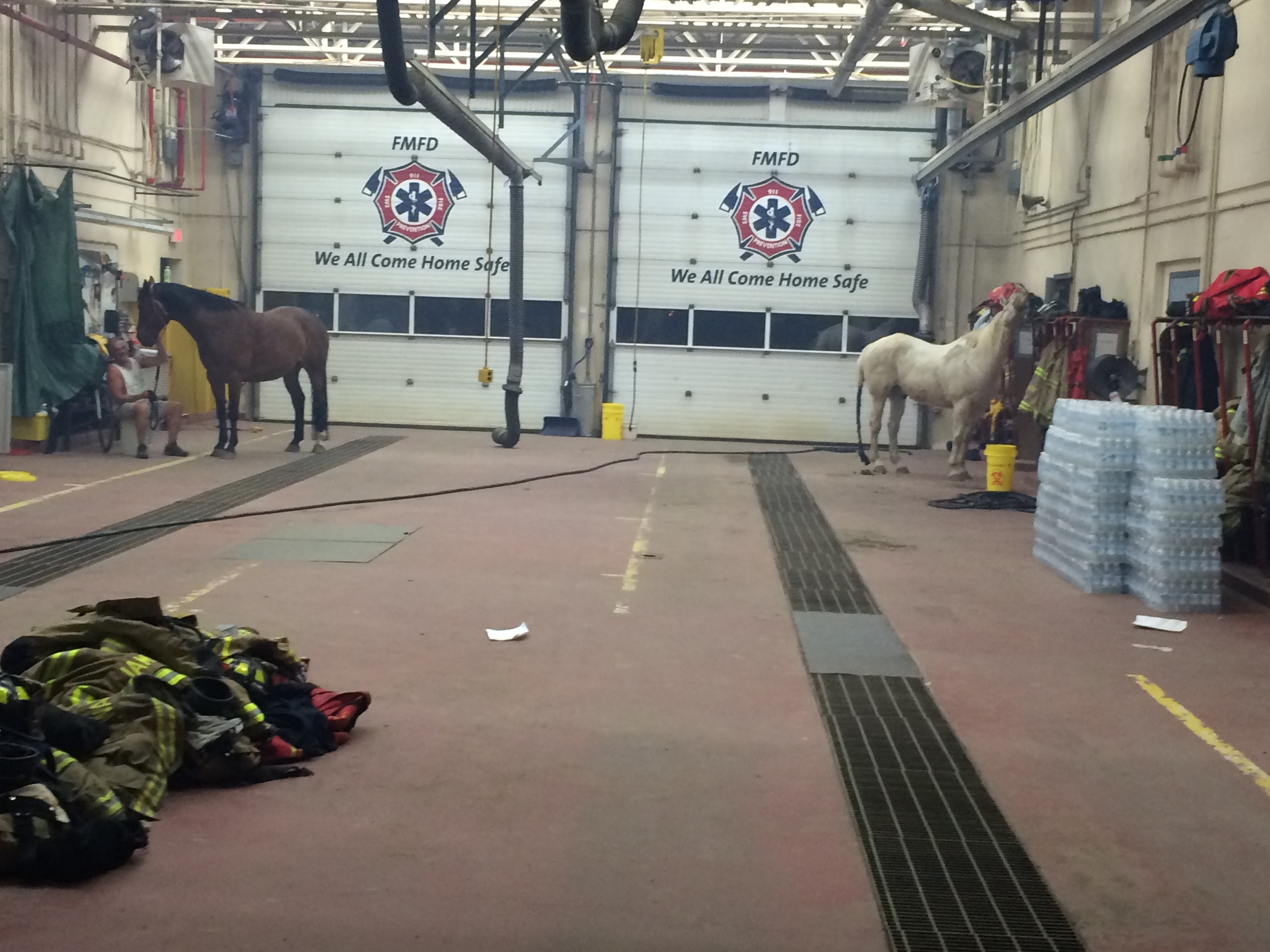 Darby Allen took this photo of horses finding shelter in Fort McMurray's Fire Hall 1, overnight on May 3. (Darby Allen)