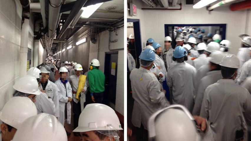 Workers crowd into hallways at the Cargill plant last year, when an ammonia leak forced them out of their stations. (Submitted by name withheld)