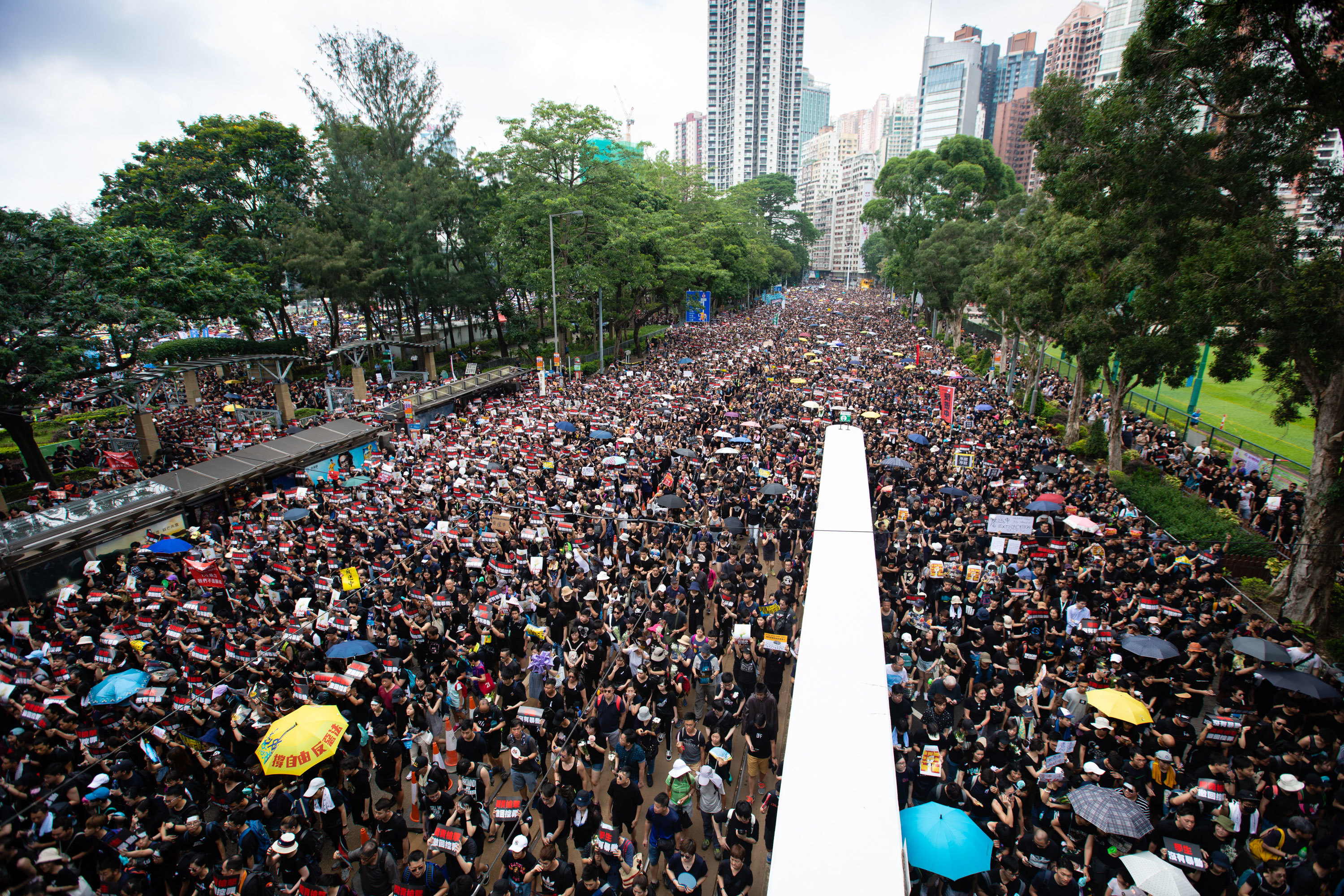 Demonstrations against the extradition bill have brought millions of Hong Kongers onto the street in recent weeks. (Saša Petricic/CBC) 