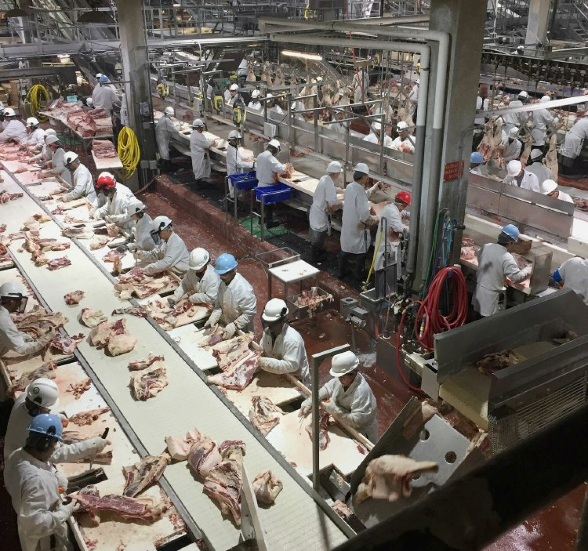 This photo of the fabrication line at Cargill's facility in High River, Alta., was taken prior to the outbreak in 2020. (Submitted by name withheld)