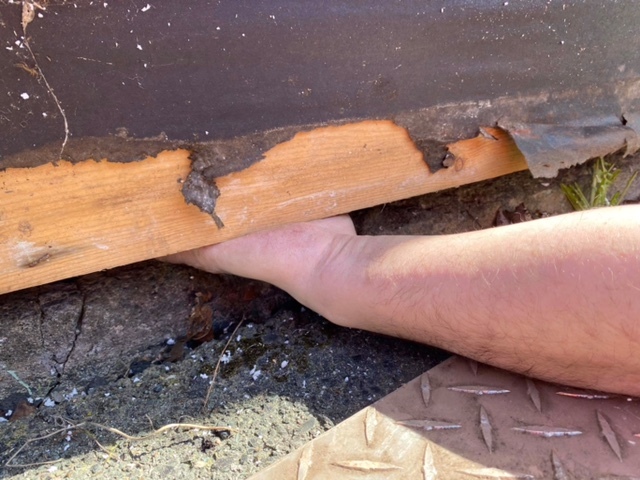 Elton says her uncle filled the gap underneath her home with metal, spray foam and concrete. (Submitted by Tiffany Elton)