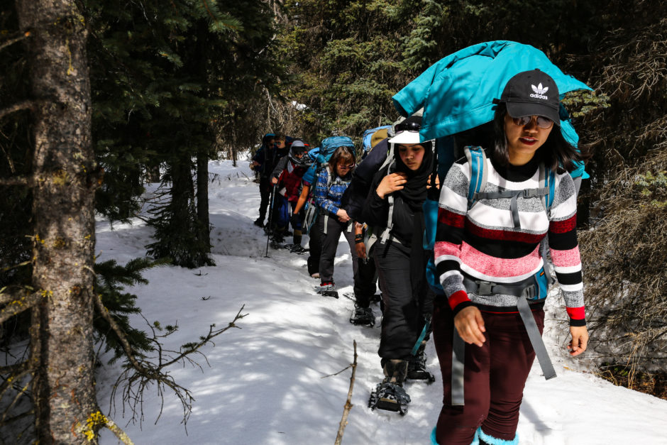 A group of women snowshoe through the trees in the Alberta backcountry. 