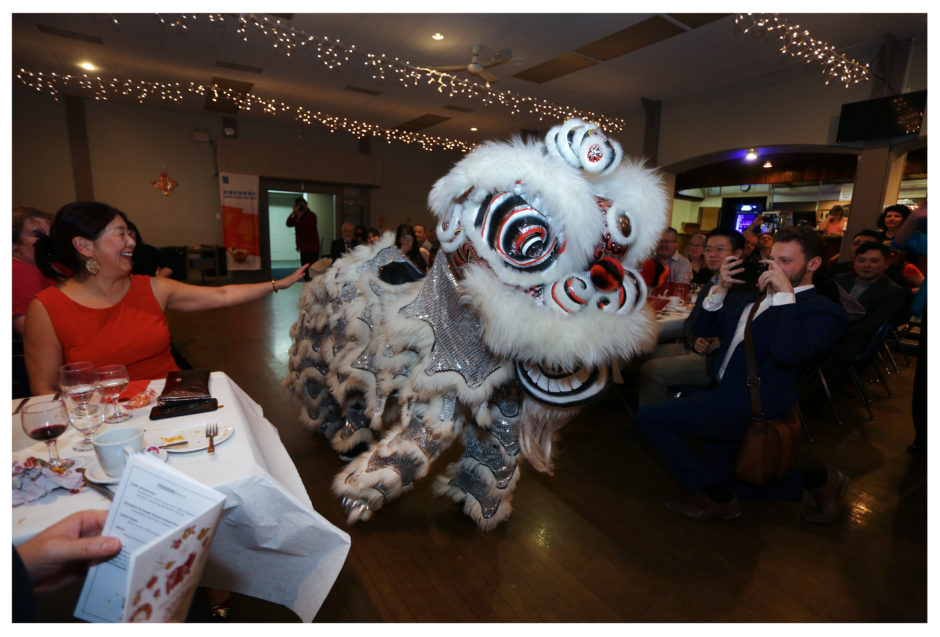 Snowy, a lion entertains the crowd at the annual Chinese Association of Newfoundland and Labrador dinner. 