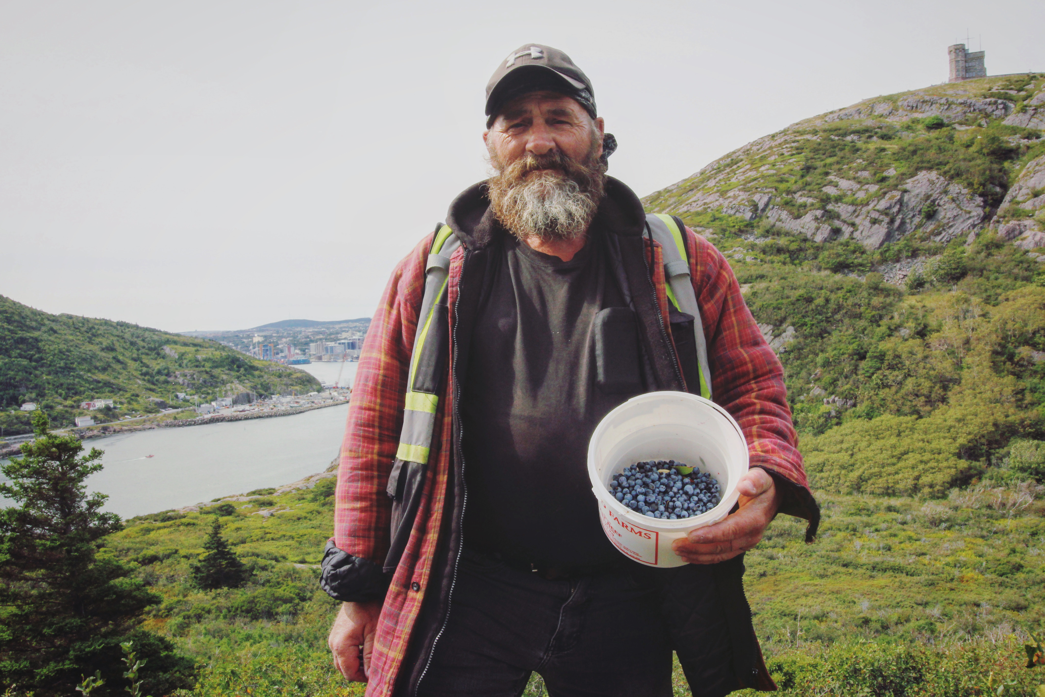 Rowbottom, originally from St. Anthony, calls St. John's the blueberry capital of the island. (Gavin Simms/CBC)