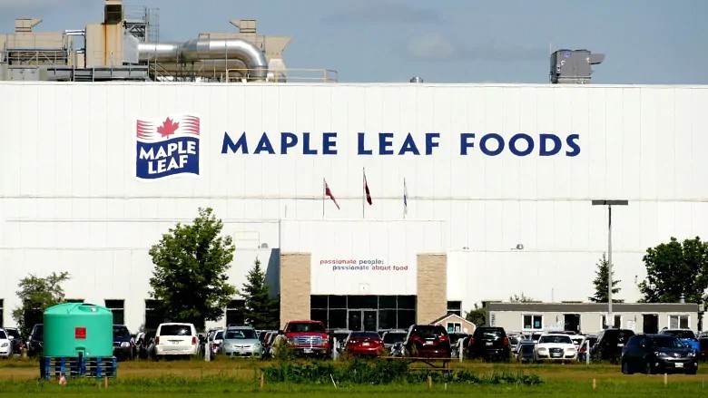 An outbreak at the Maple Leaf Foods plant in Brandon left 70 workers sick. (Riley Laychuk/CBC)