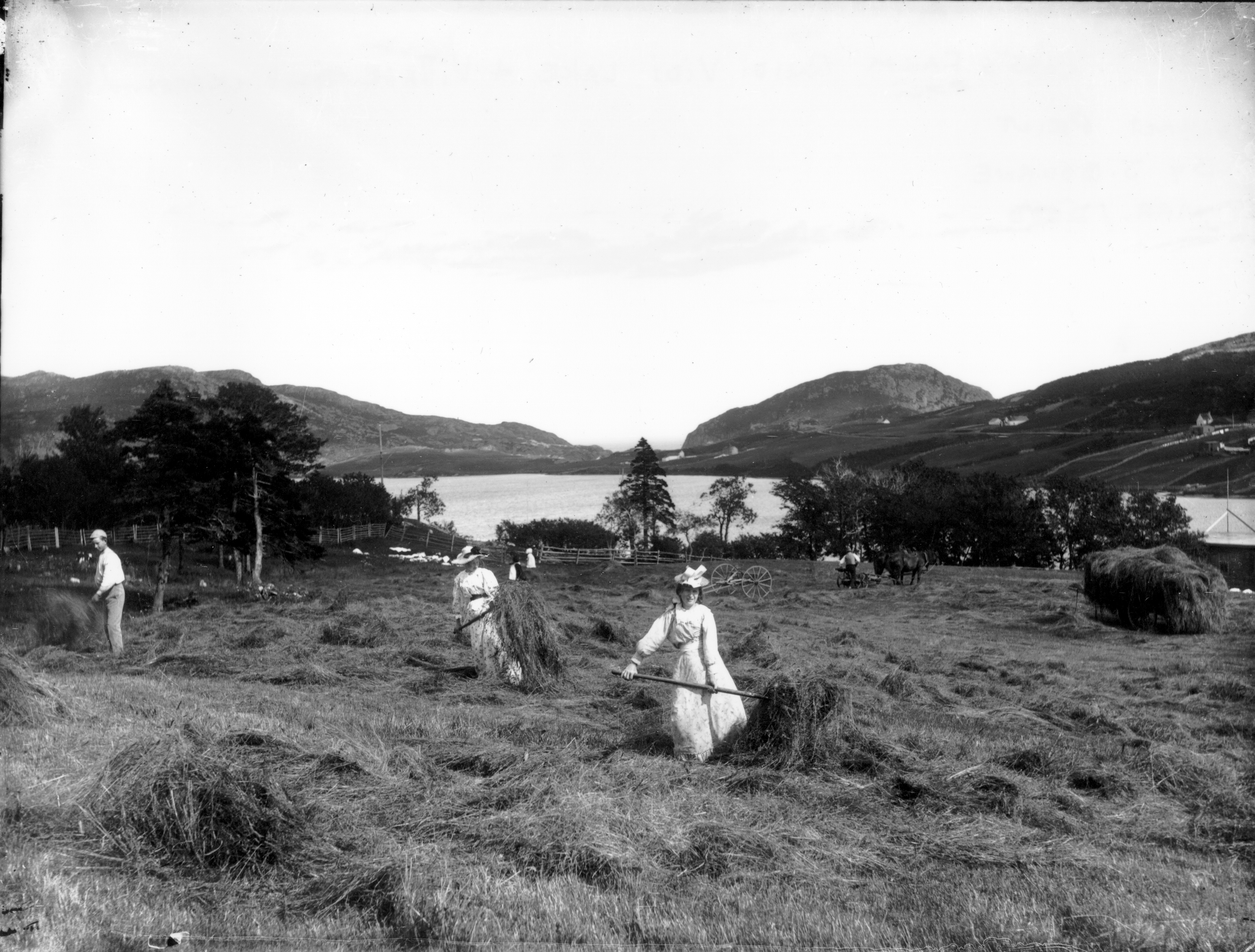 Women making hay on Ross's farm in 1911. (The Rooms)