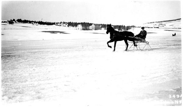 Horse-drawn sleighs racing on the frozen ice of Quidi Vidi in 1922. (The Rooms)