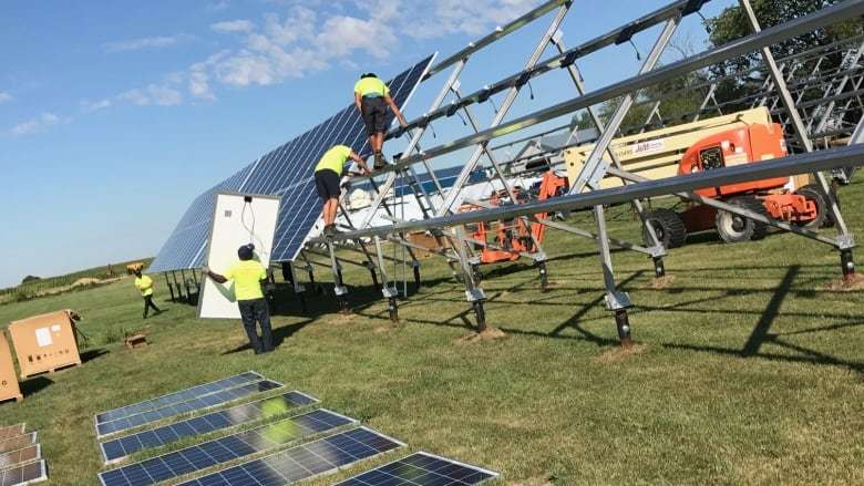 Workers install solar panels at a dairy farm in Otterburne, Man. (Pierre Verriere/CBC)