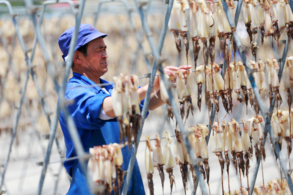 Employees at Zhejiang Fudan Tourism Food Co. dry squid in Zhoushan, China. China effectively controls the global supply of squid, accounting for 50 to 70 per cent of the squid caught in international waters. (Yao Feng/Visual China Group/Getty Images)