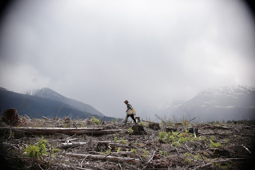 Greg has been tree planting across the province for the last 20 years, spending many months a year in the B.C. wilderness. (Submitted by Stuart Gillies)