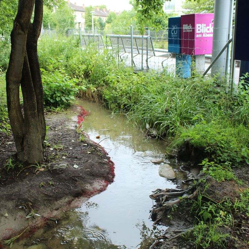 A small muddy stream flows around a bend, surrounded by vegetation.