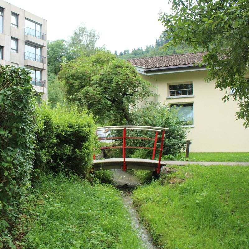 A red pedestrian bridge sits over a small stream.